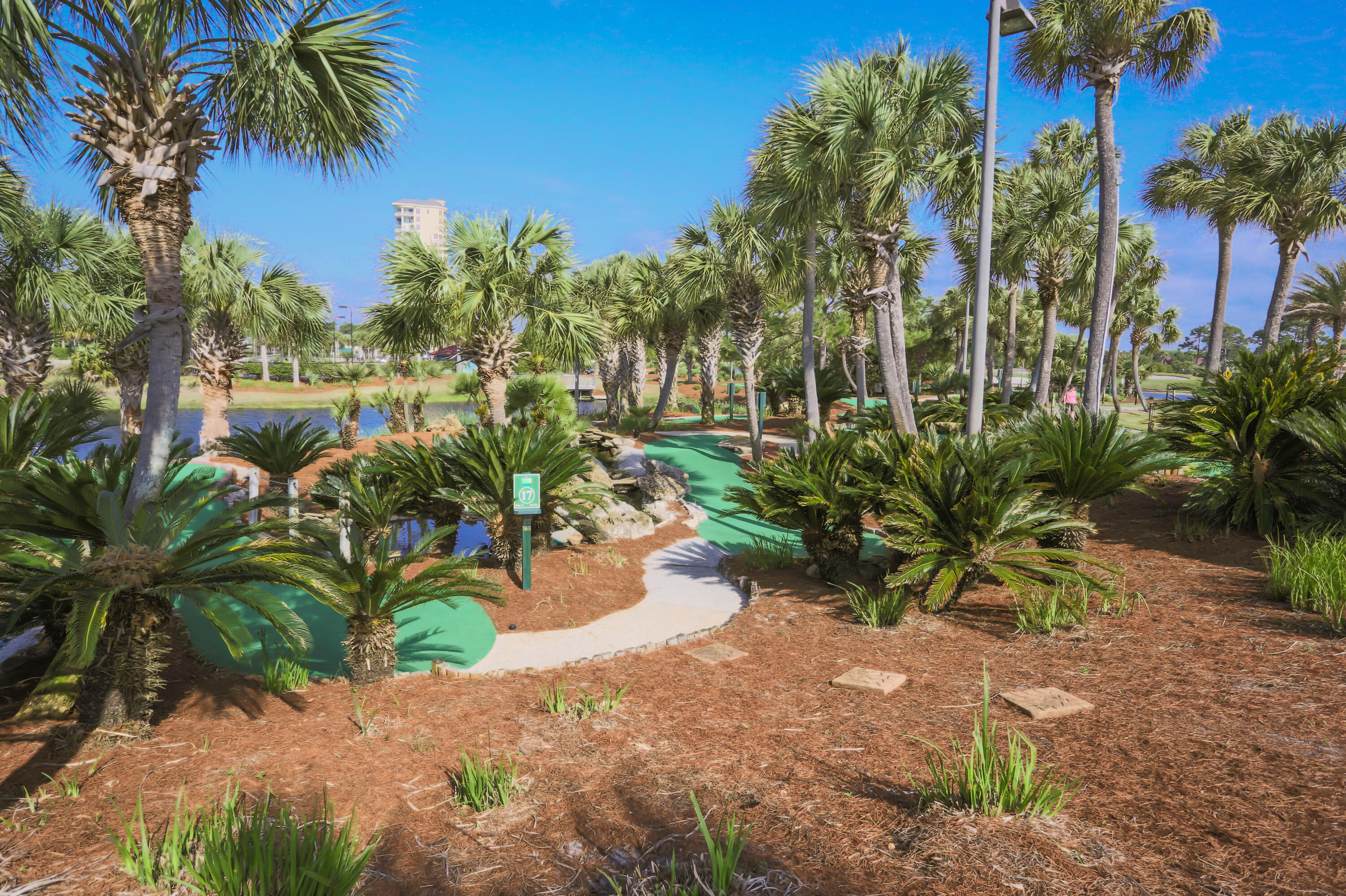 824 Harbour Point Drive Miramar Beach FL 32550