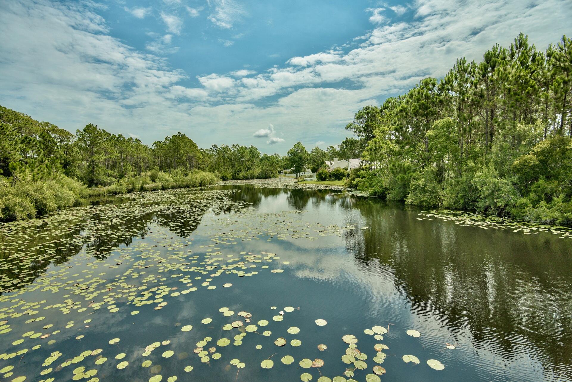 231 Somerset Bridge Road Santa Rosa Beach FL 32459