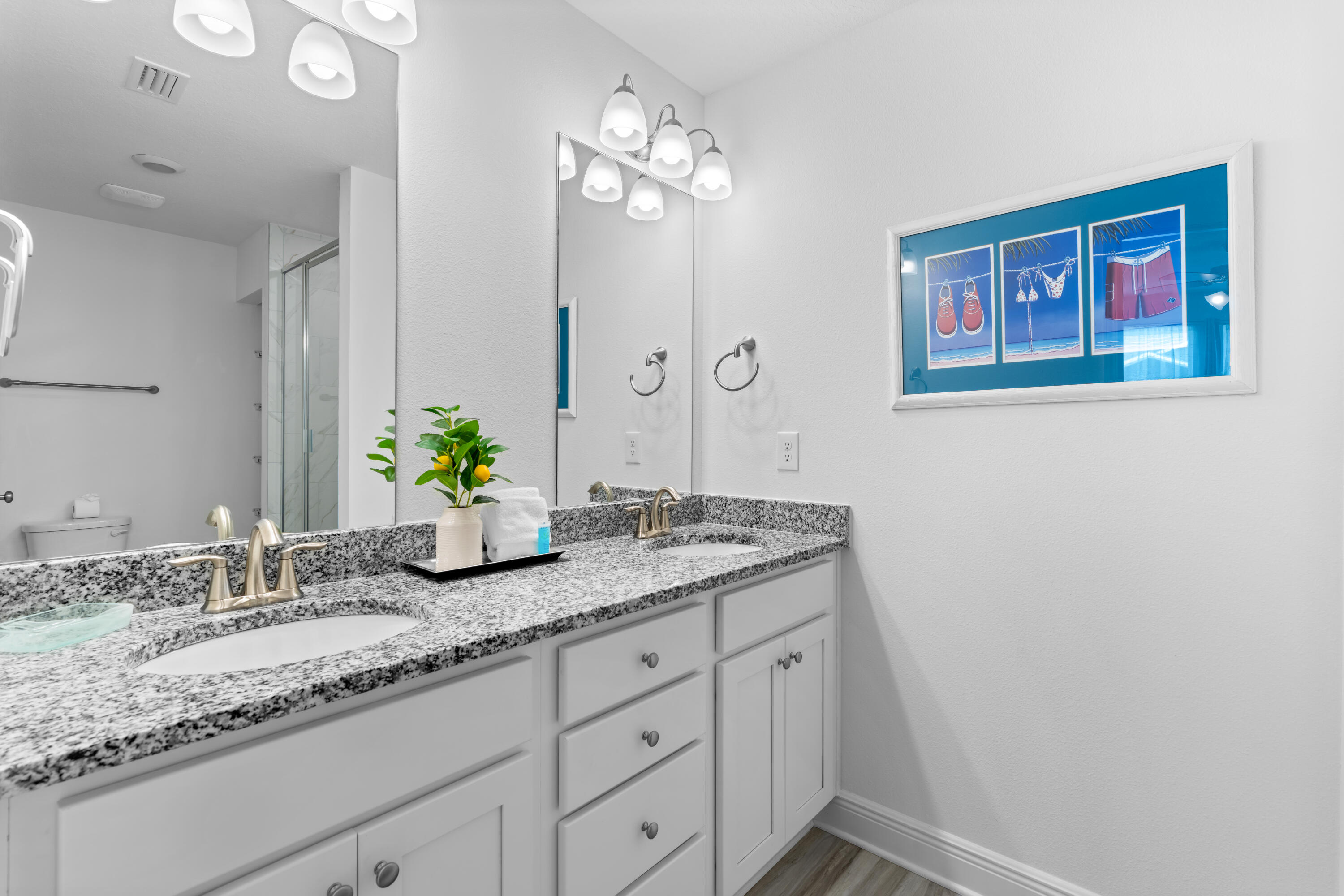 48 Leviathan Court Santa Rosa Beach FL 32459