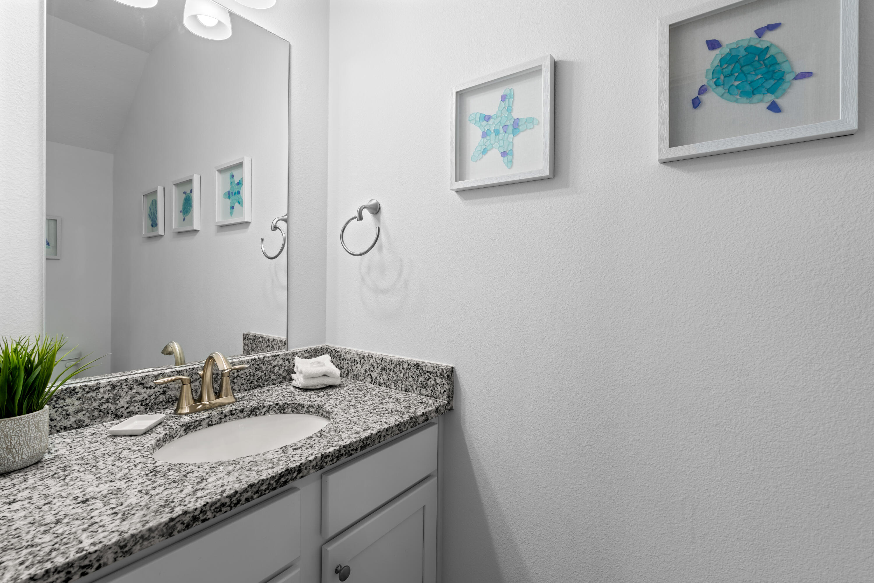 48 Leviathan Court Santa Rosa Beach FL 32459