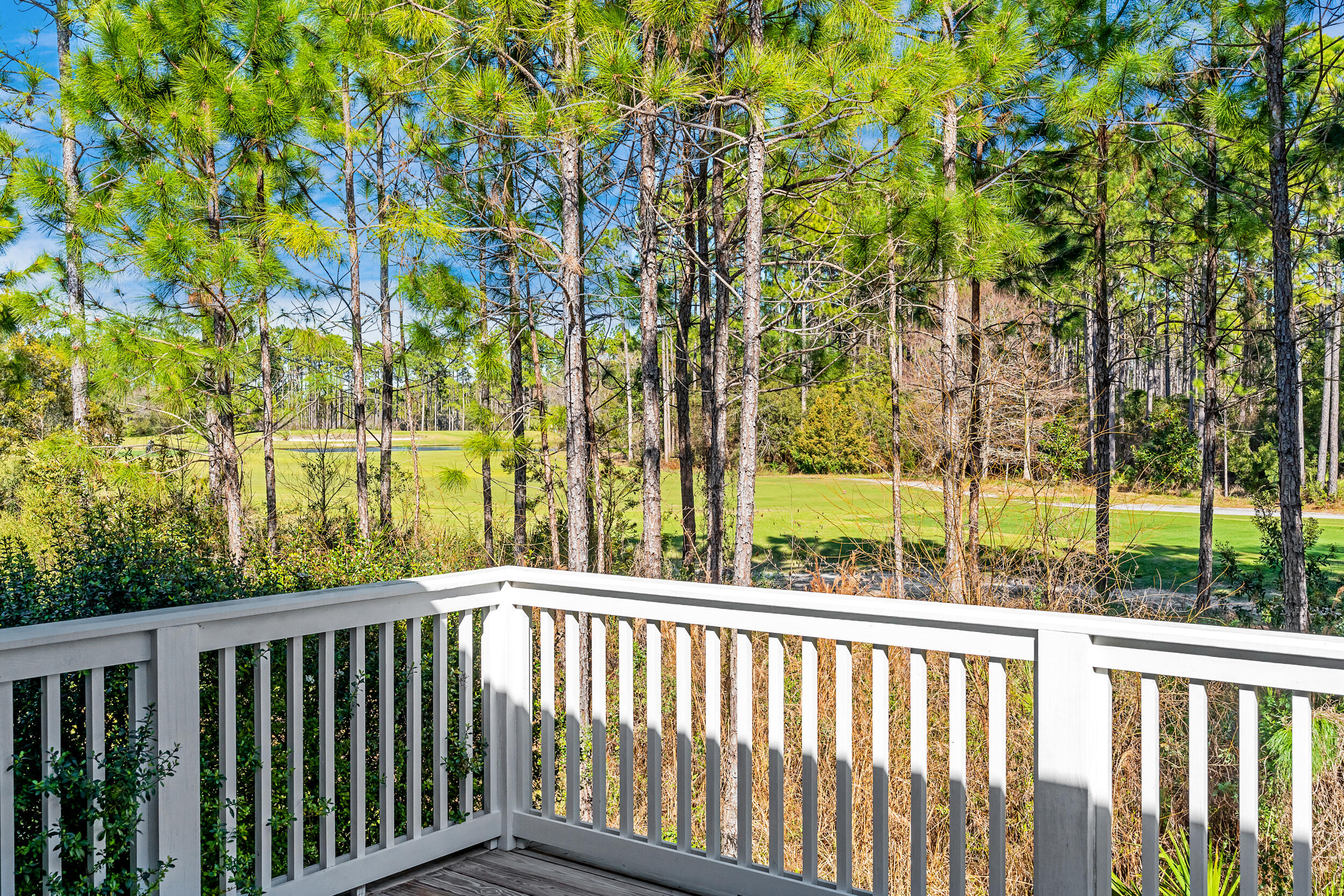 75 Golden Bell Court Inlet Beach FL 32461
