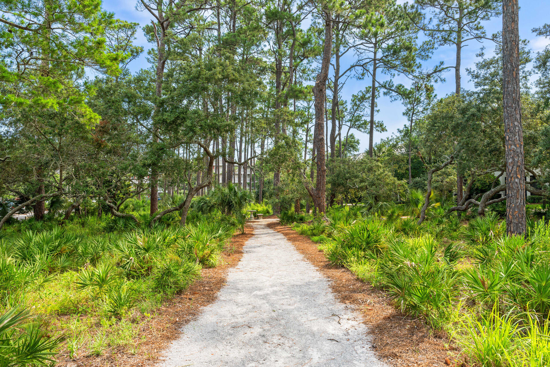 Tbd S Co Highway 393 Santa Rosa Beach FL 32459