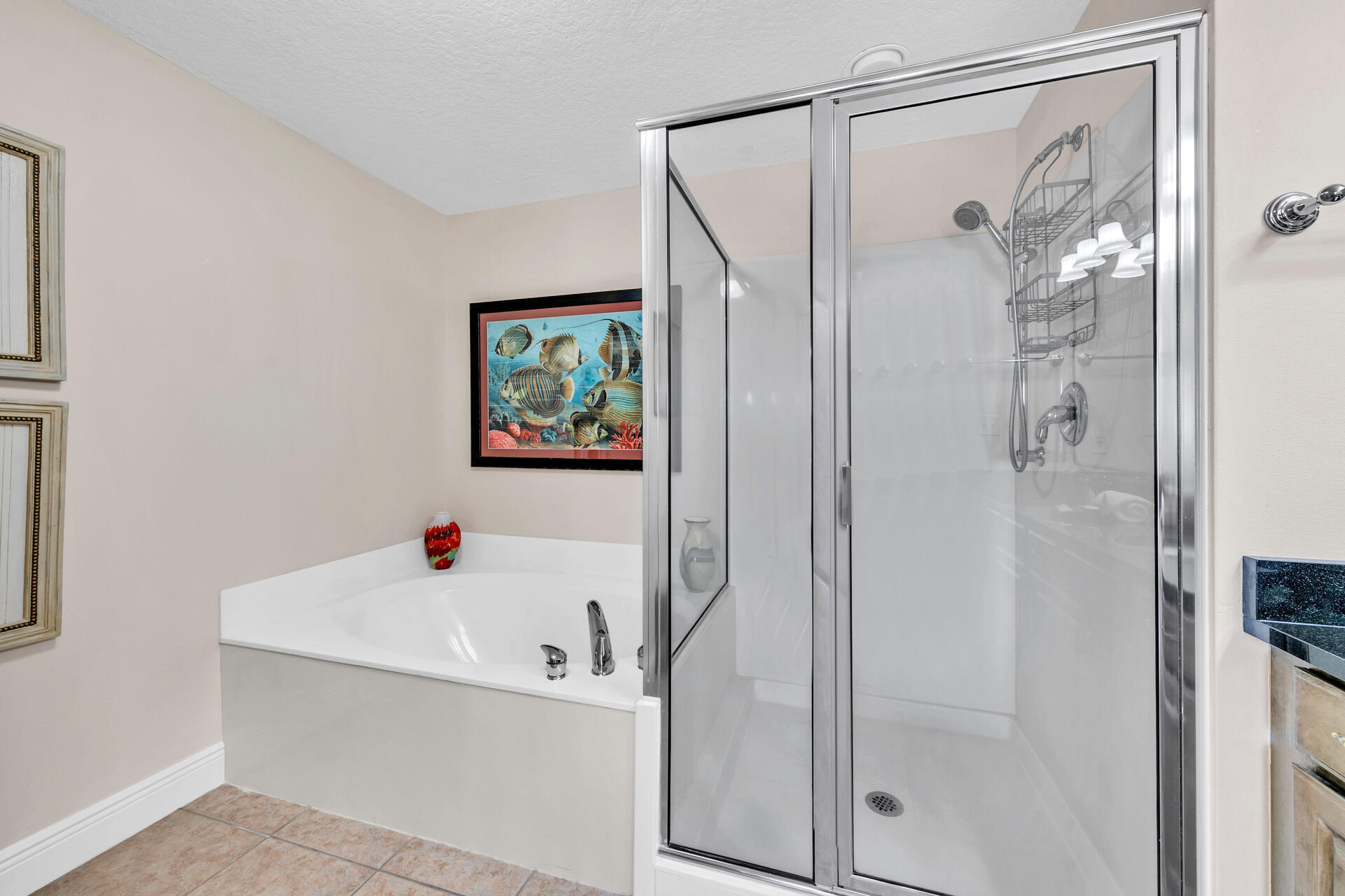 112 Seascape Drive Miramar Beach FL 32550