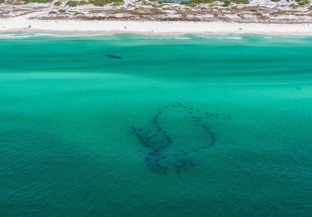 5000 S Sandestin Boulevard Miramar Beach FL 32550