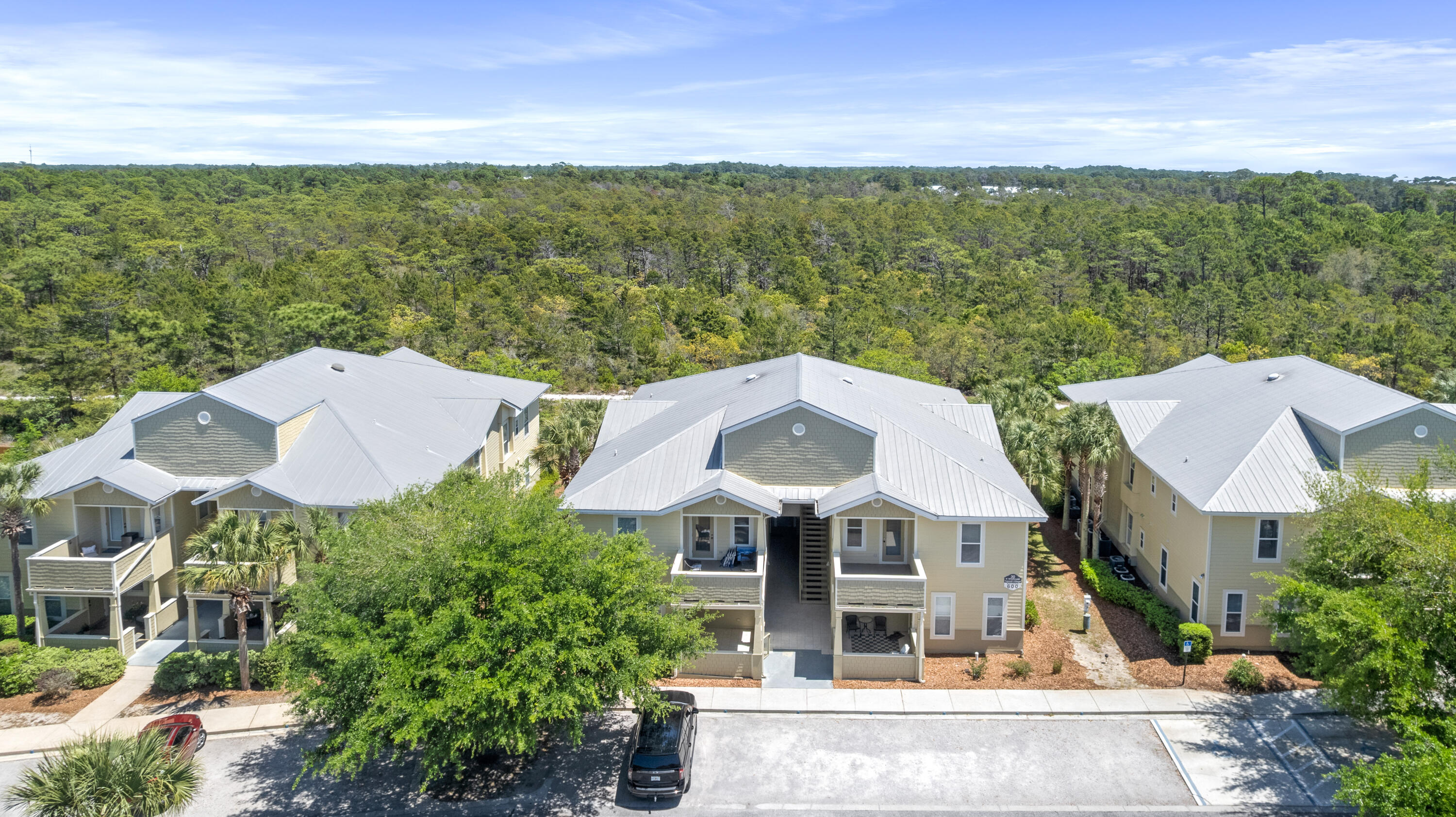 30 N Wildflower Drive Santa Rosa Beach FL 32459