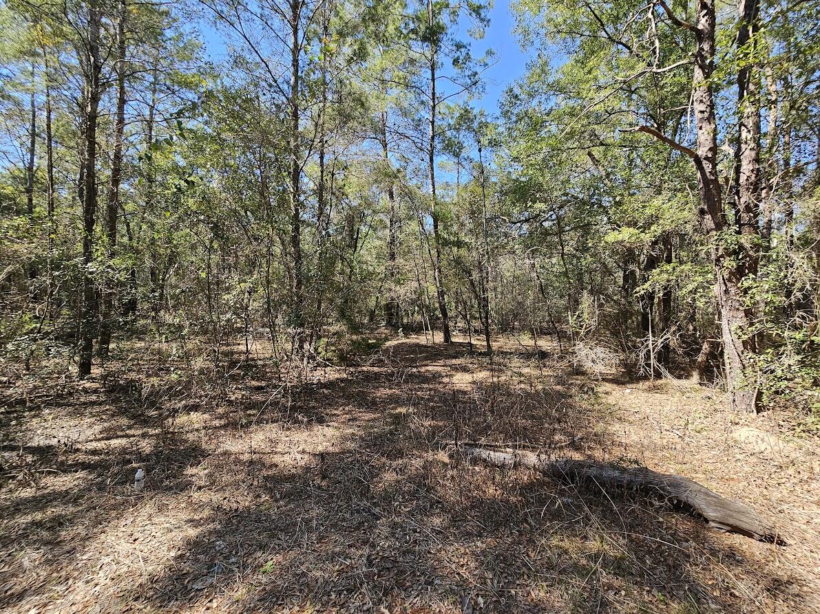 830 Four Mile Road Freeport FL 32439