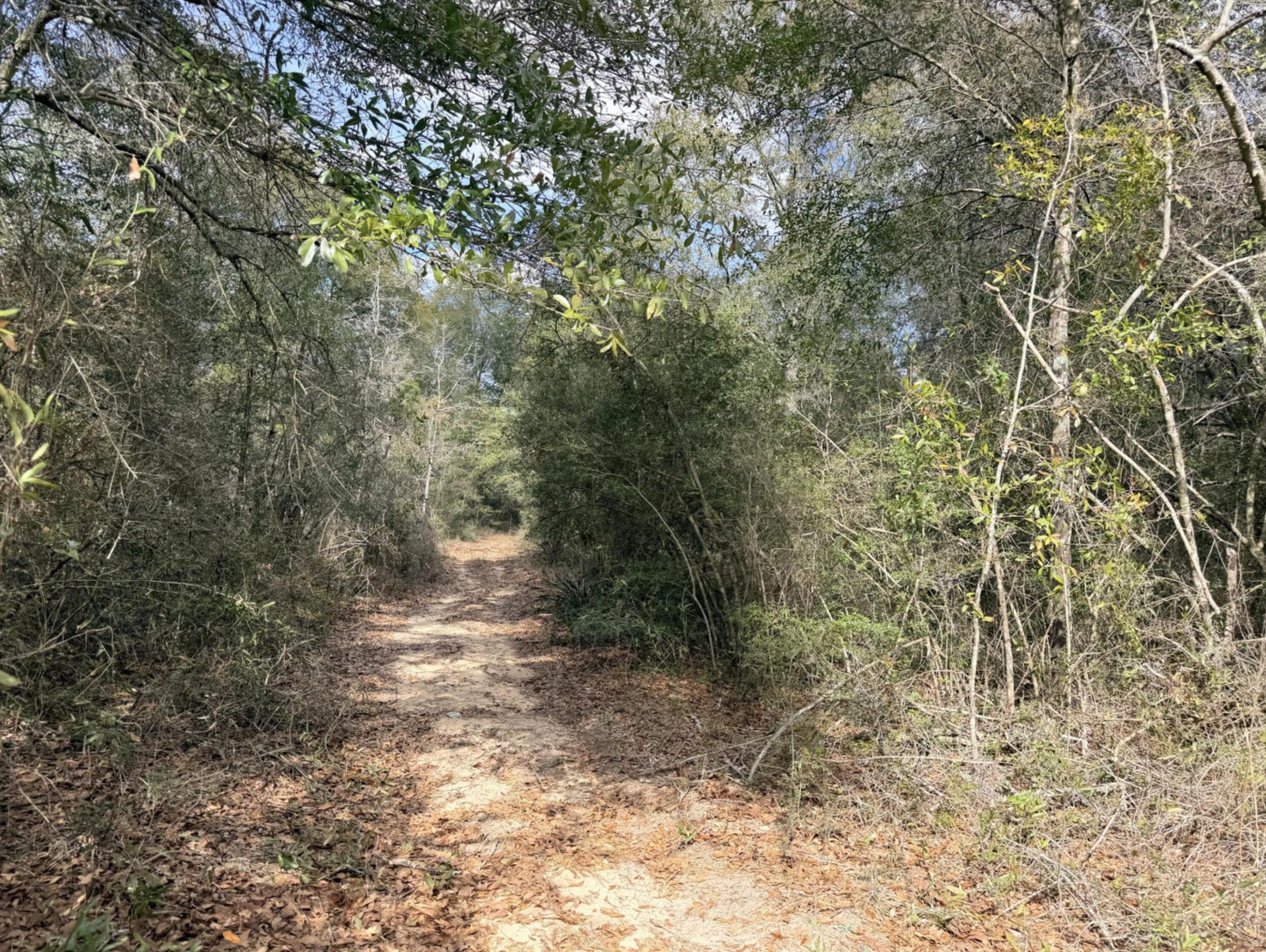 0.56 Christopher Lane Crestview FL 32539