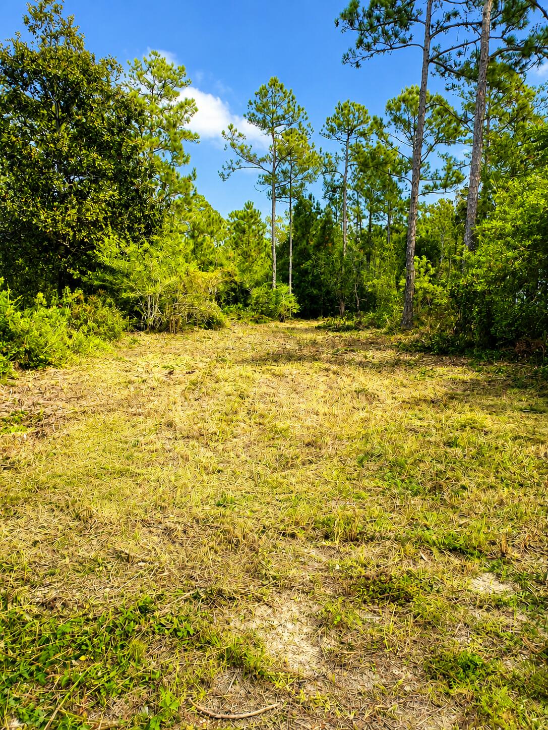 Lot 16 Central 8th Street Santa Rosa Beach FL 32459