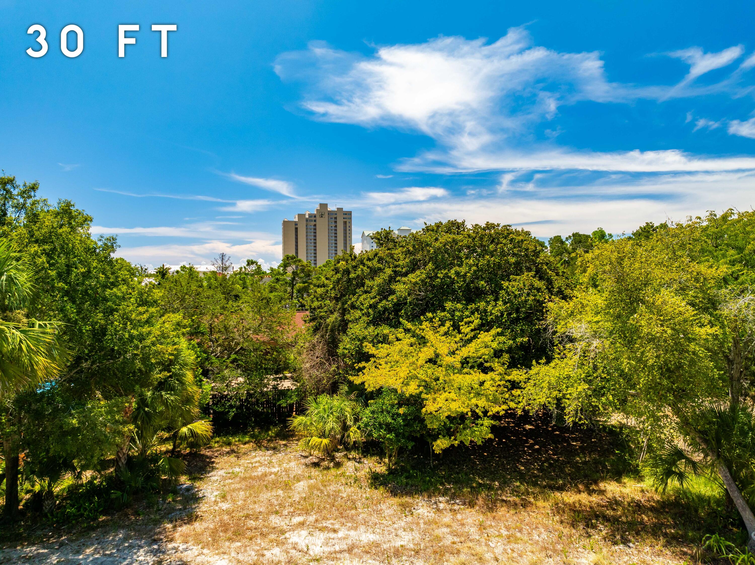 134 Overlook Drive Miramar Beach FL 32550