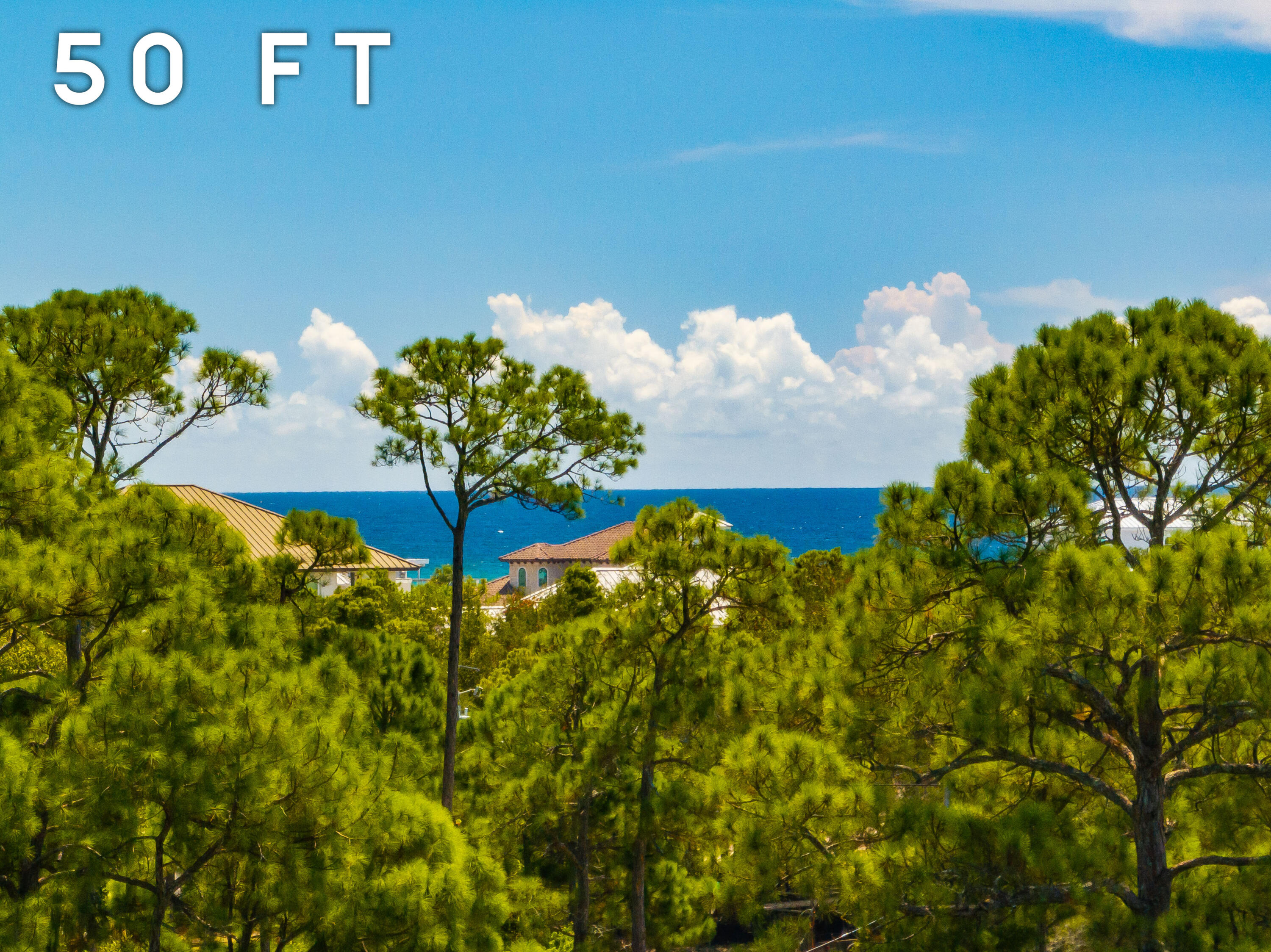 134 Overlook Drive Miramar Beach FL 32550