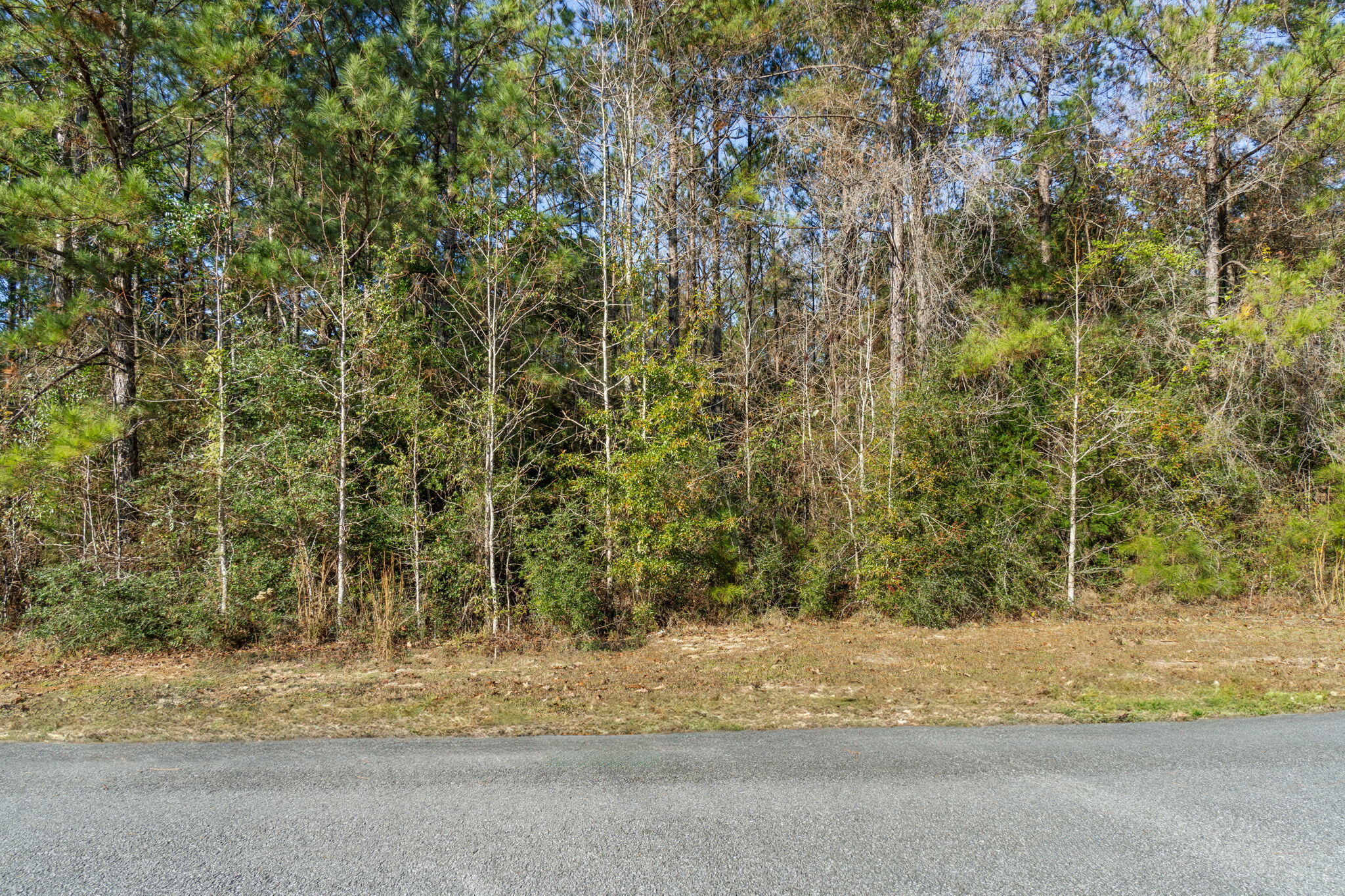 Lot 10 S Pleasant Drive Defuniak Springs FL 32435