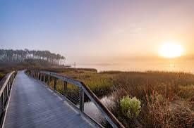 7806 S Chipper Trail Panama City Beach FL 32413