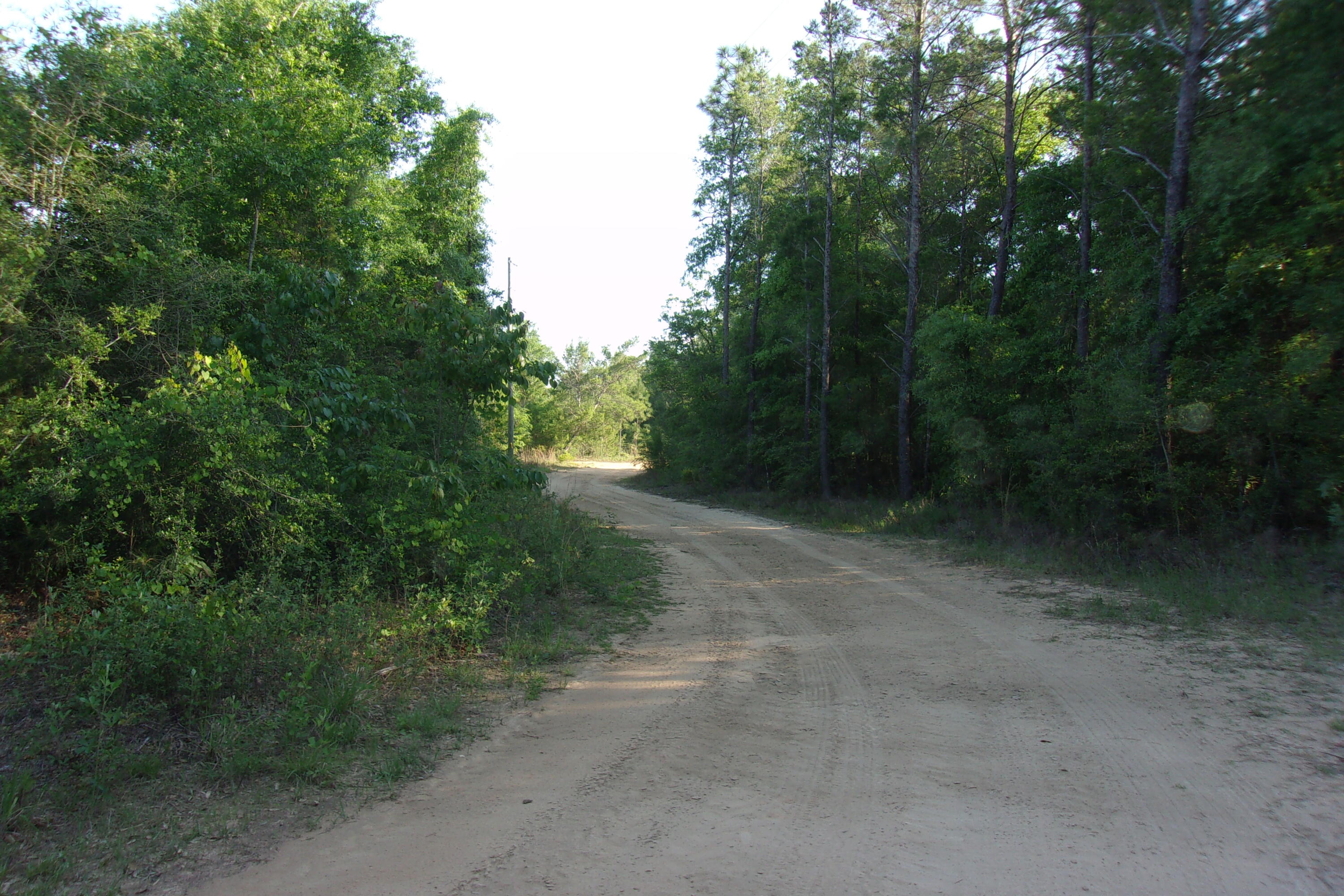 Xx Grebe Way Crestview FL 32539