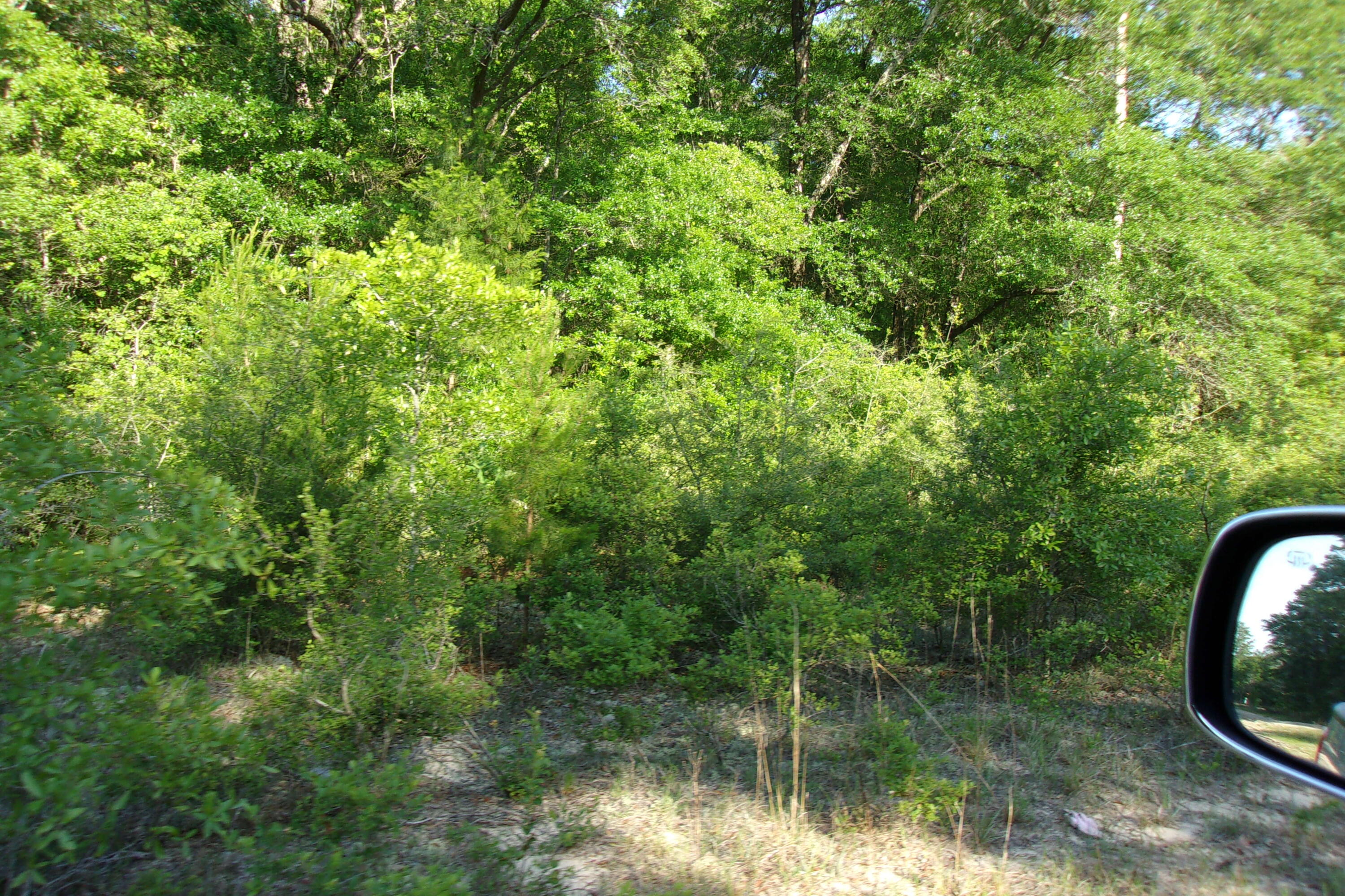 Xx Grebe Way Crestview FL 32539