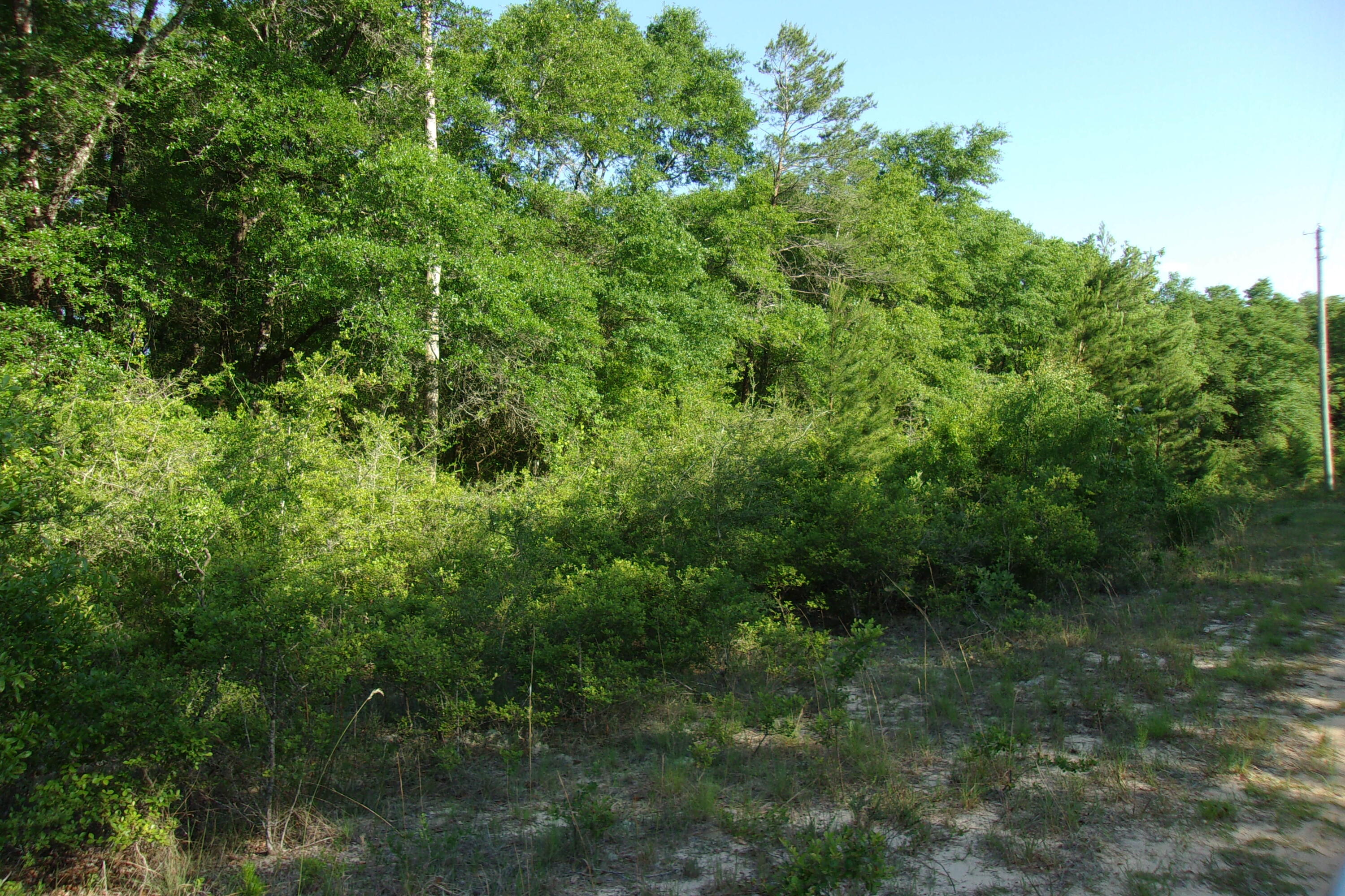 Xx Grebe Way Crestview FL 32539