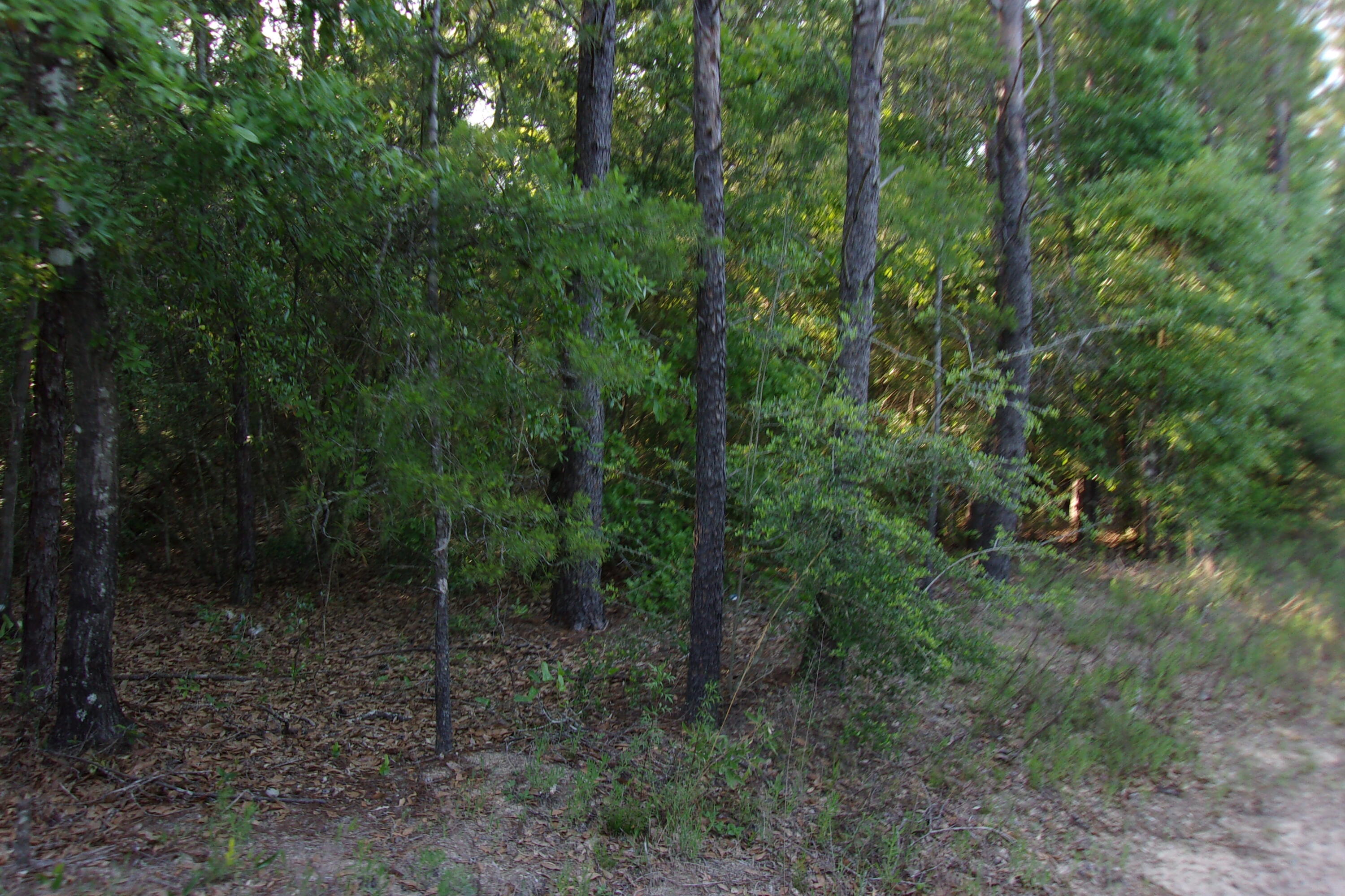 Xx Grebe Way Crestview FL 32539