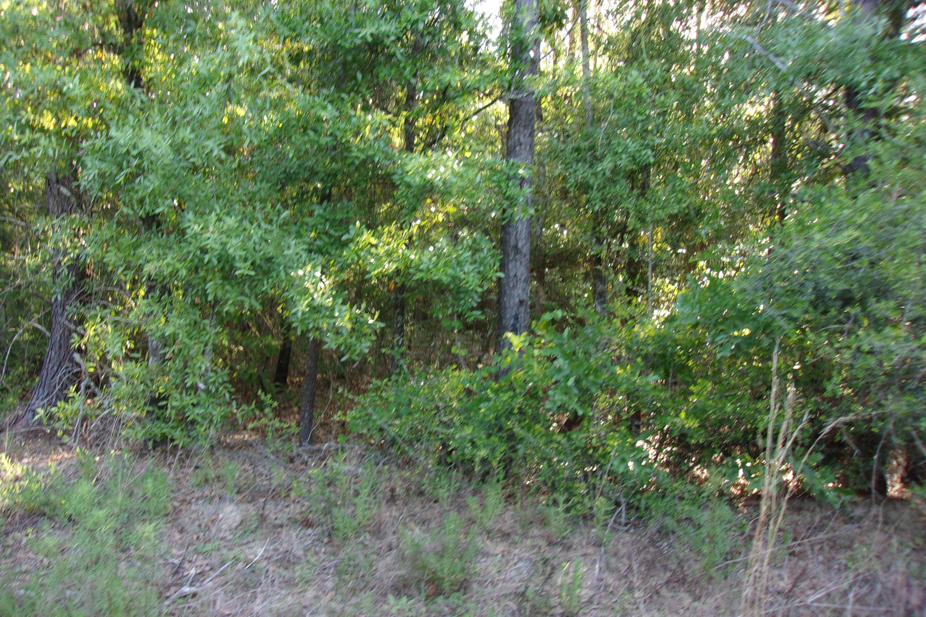 Xx Grebe Way Crestview FL 32539