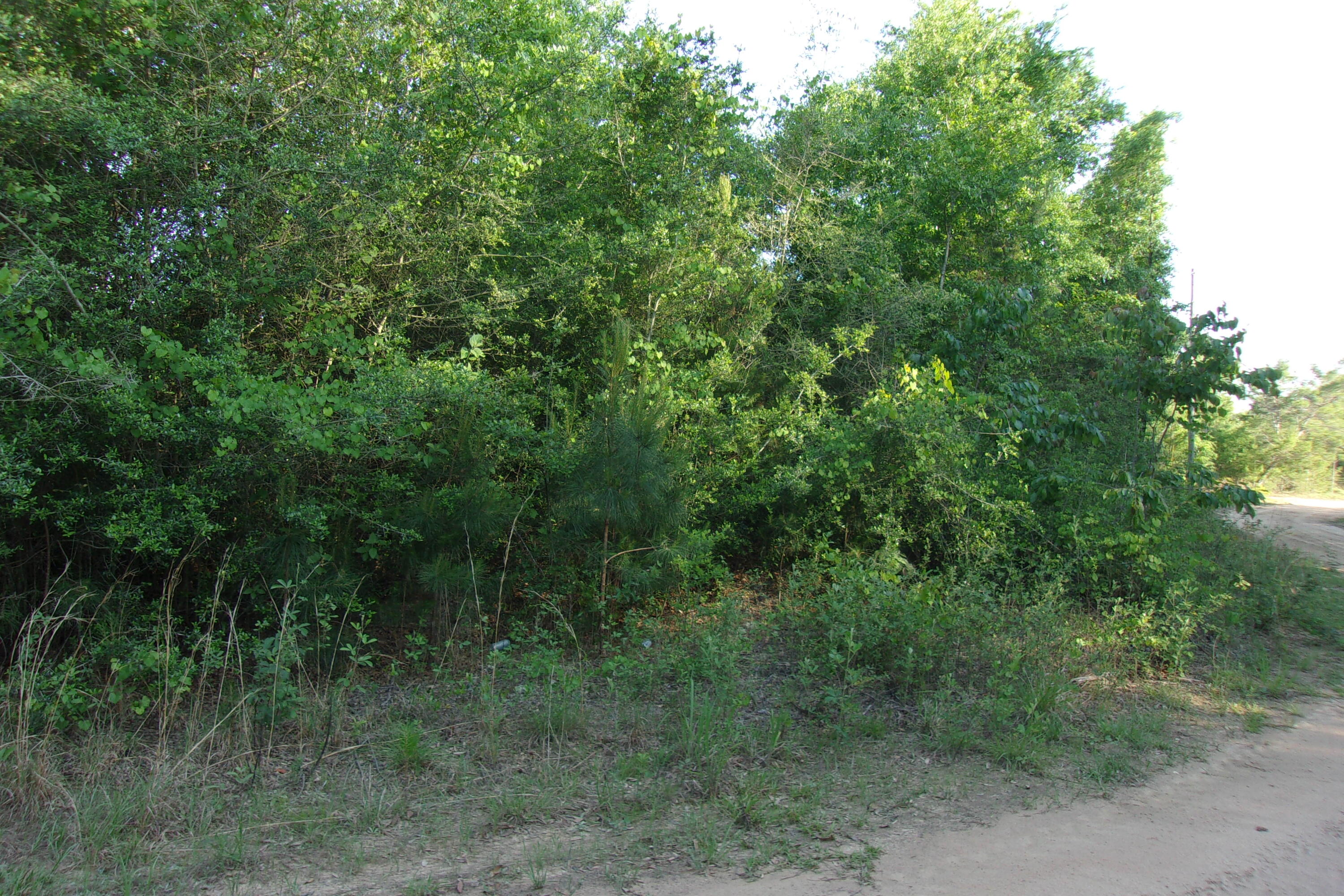 Xx Grebe Way Crestview FL 32539