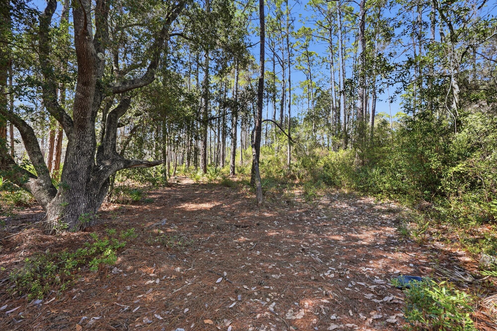 22100 Trumpet Trail Panama City Beach FL 32413