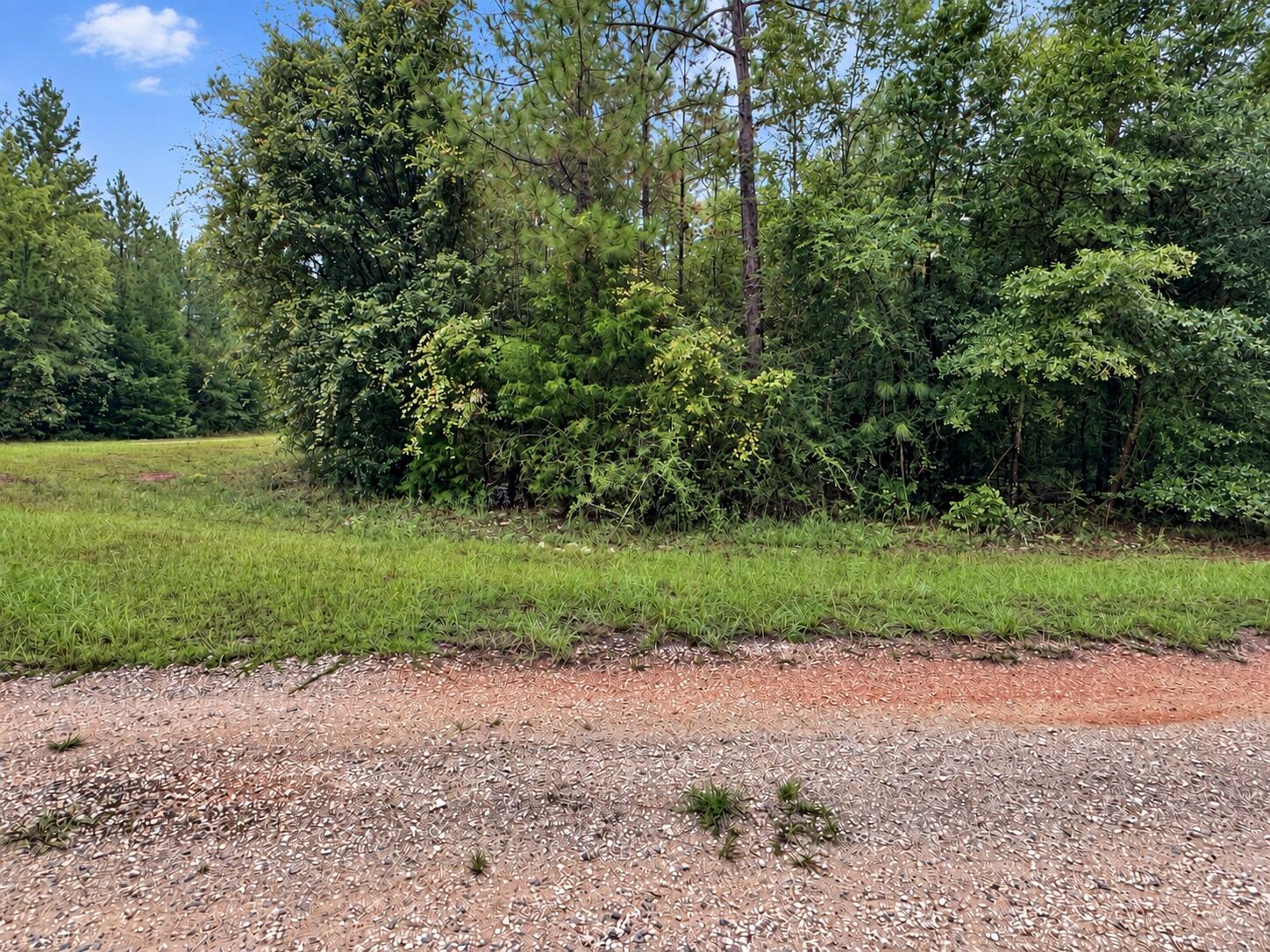5.4 Acres Sumac Road Westville FL 32464