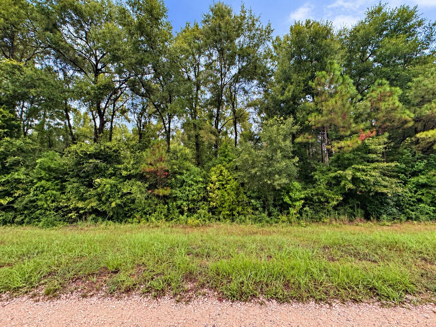 5.4 Acres Sumac Road Westville FL 32464
