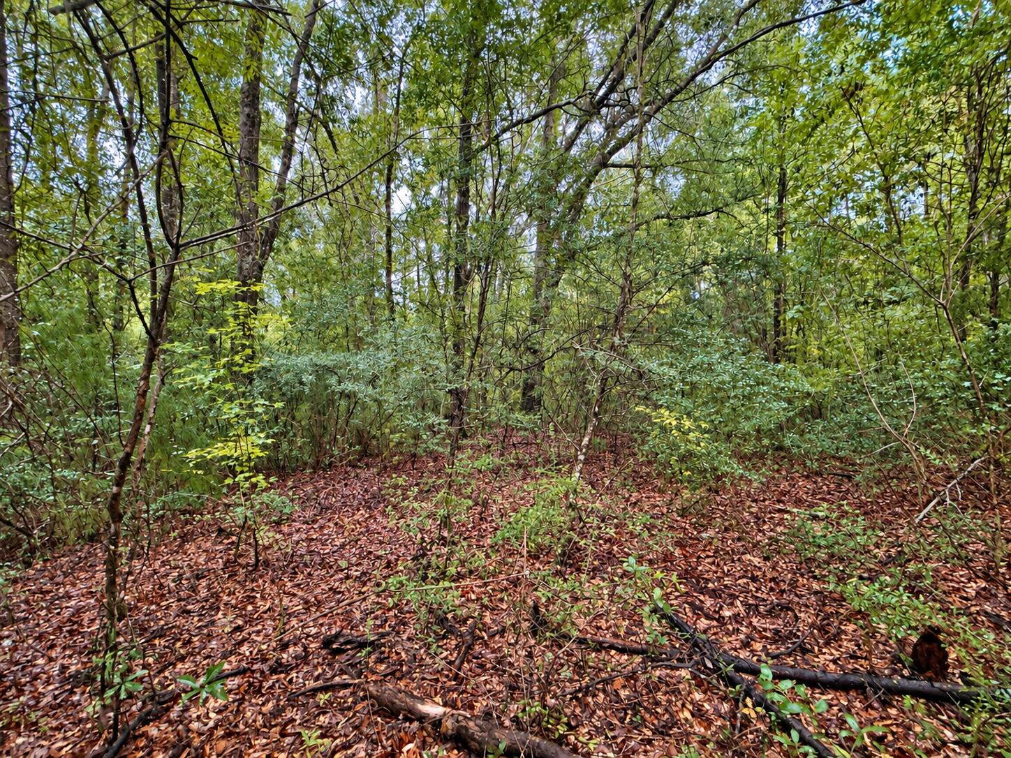 5.4 Acres Sumac Road Westville FL 32464