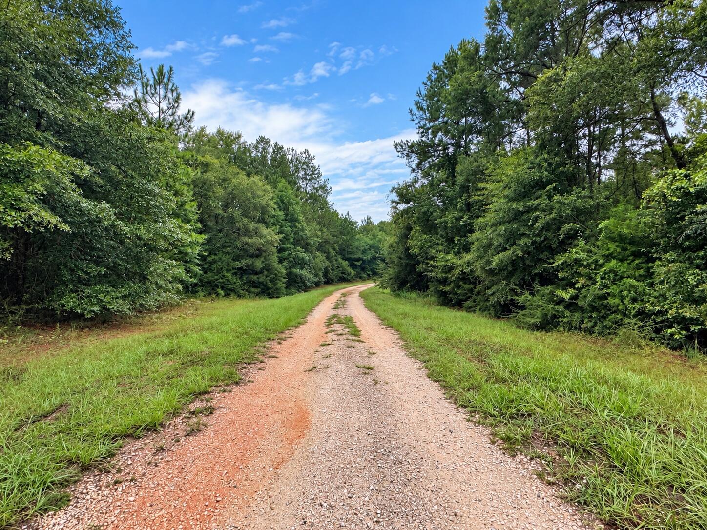5.4 Acres Sumac Road Westville FL 32464