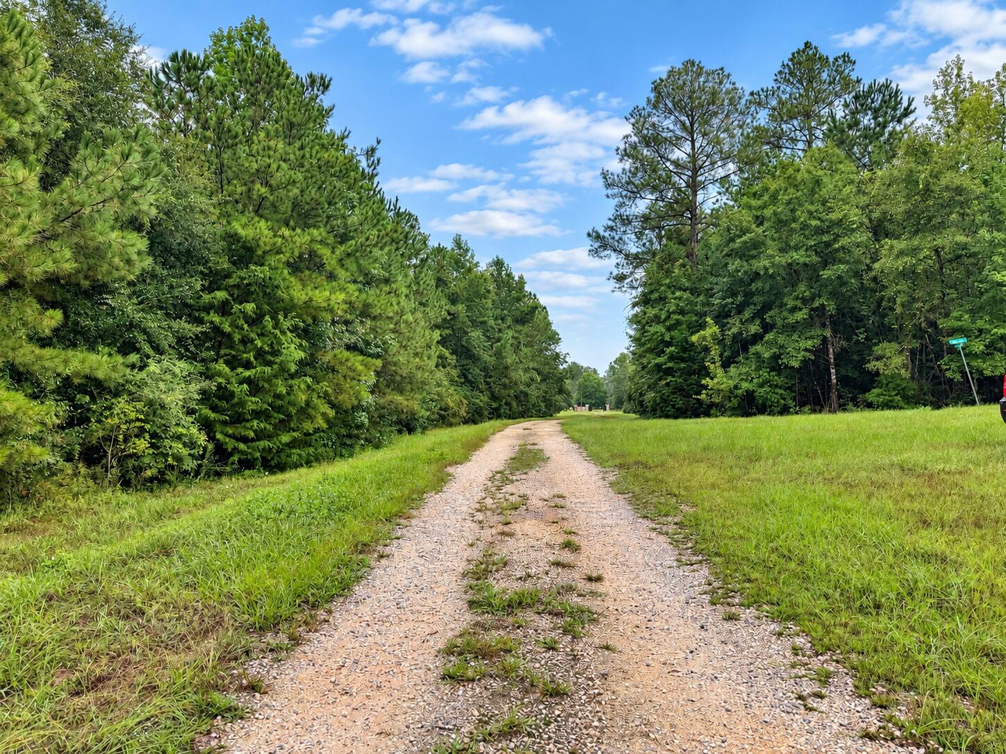 5.4 Acres Sumac Road Westville FL 32464