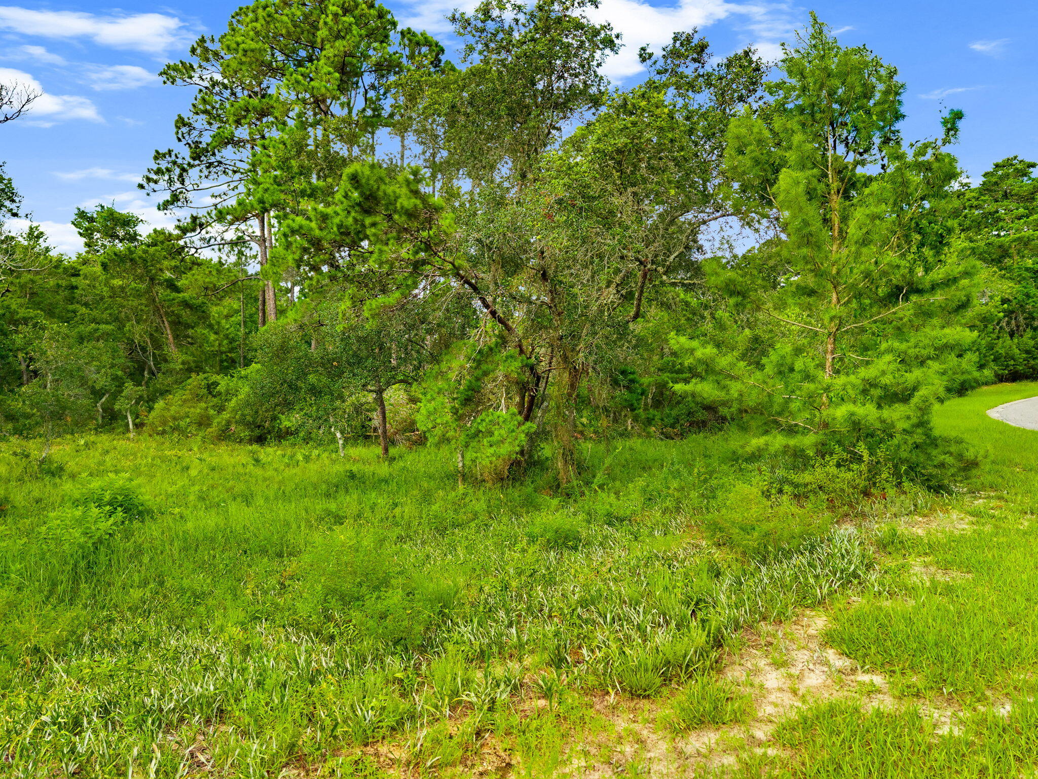 1407 Old Oak Trail Panama City Beach FL 32413