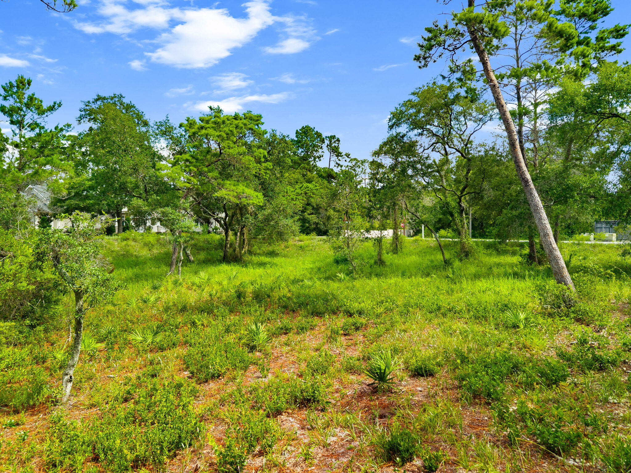 1407 Old Oak Trail Panama City Beach FL 32413