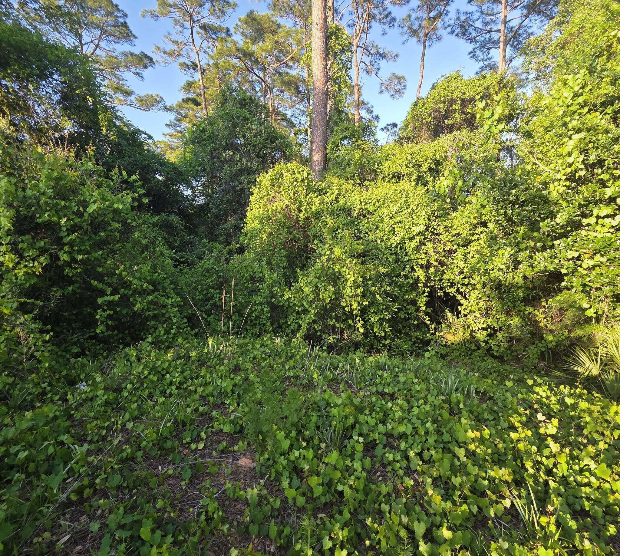 Tbd Charter Circle Gulf Breeze FL 32563