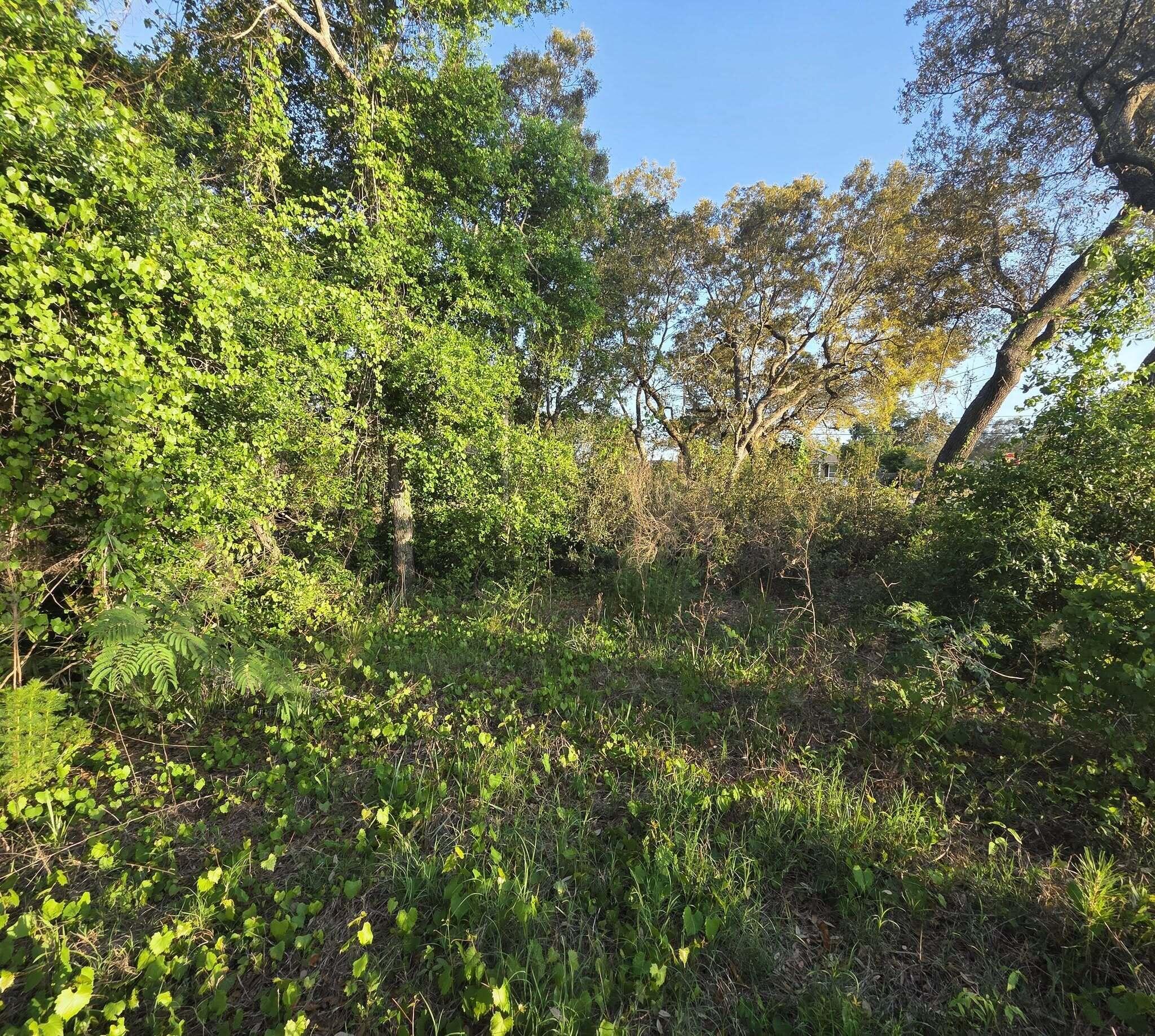 Tbd Charter Circle Gulf Breeze FL 32563