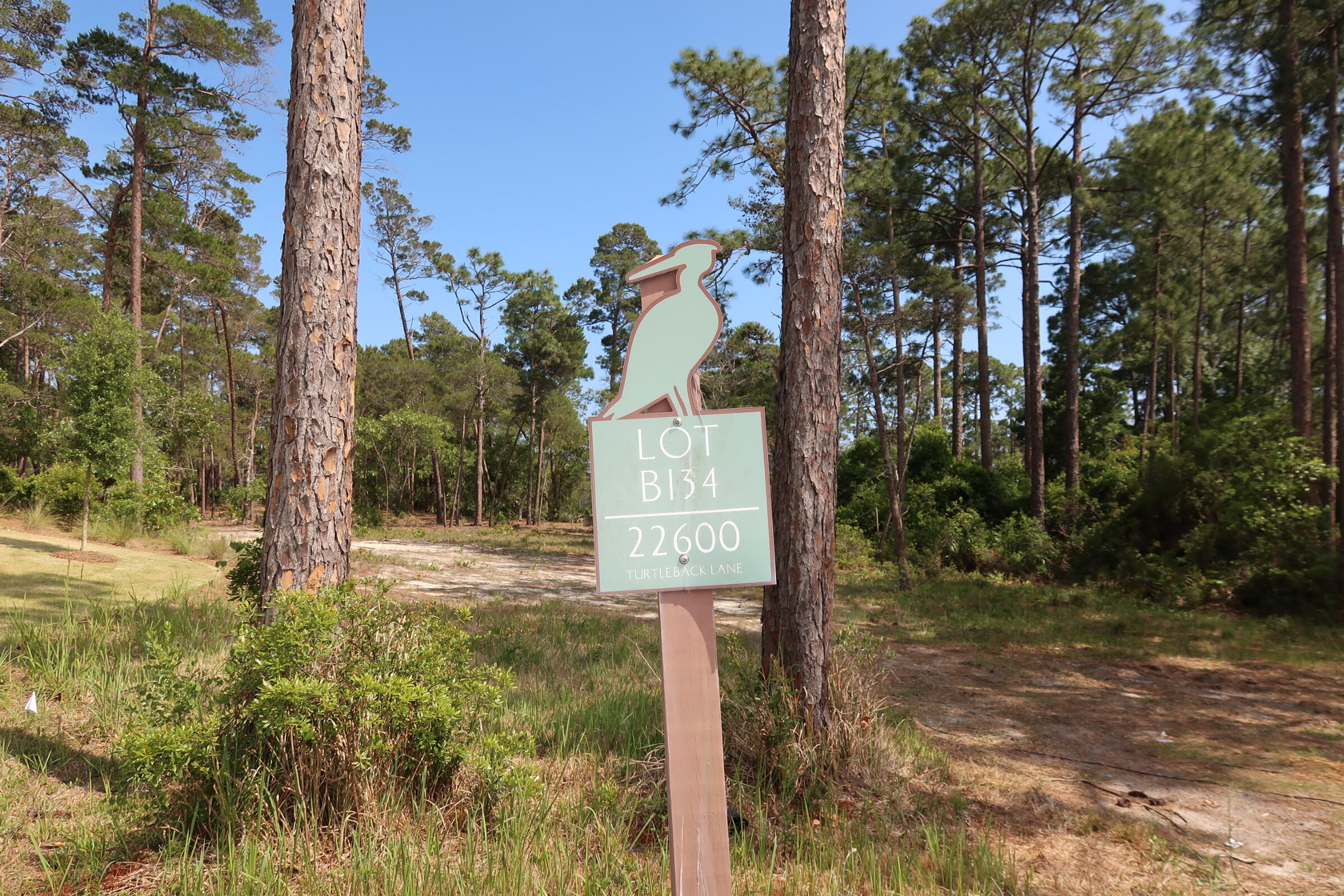 22600 Turtleback Lane Panama City Beach FL 32413