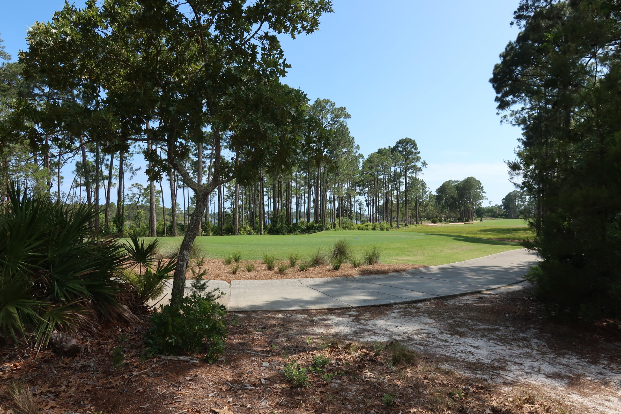 22600 Turtleback Lane Panama City Beach FL 32413