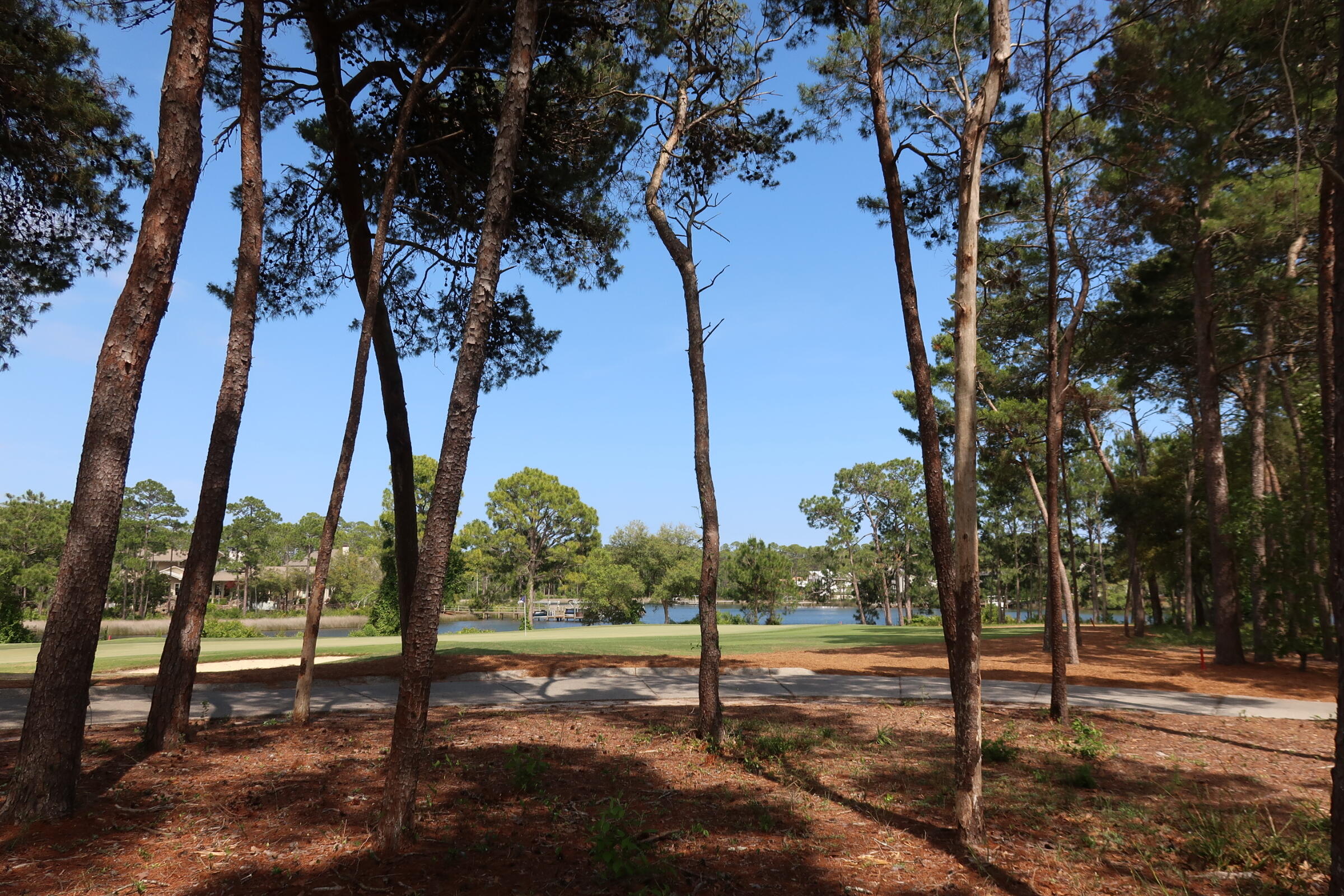 22600 Turtleback Lane Panama City Beach FL 32413