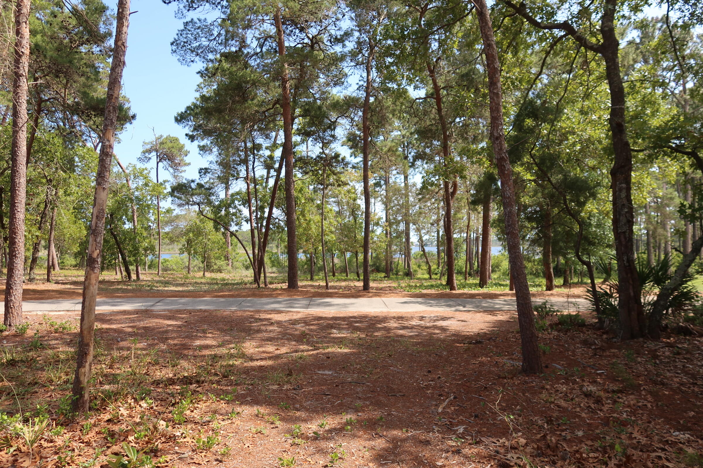 22600 Turtleback Lane Panama City Beach FL 32413