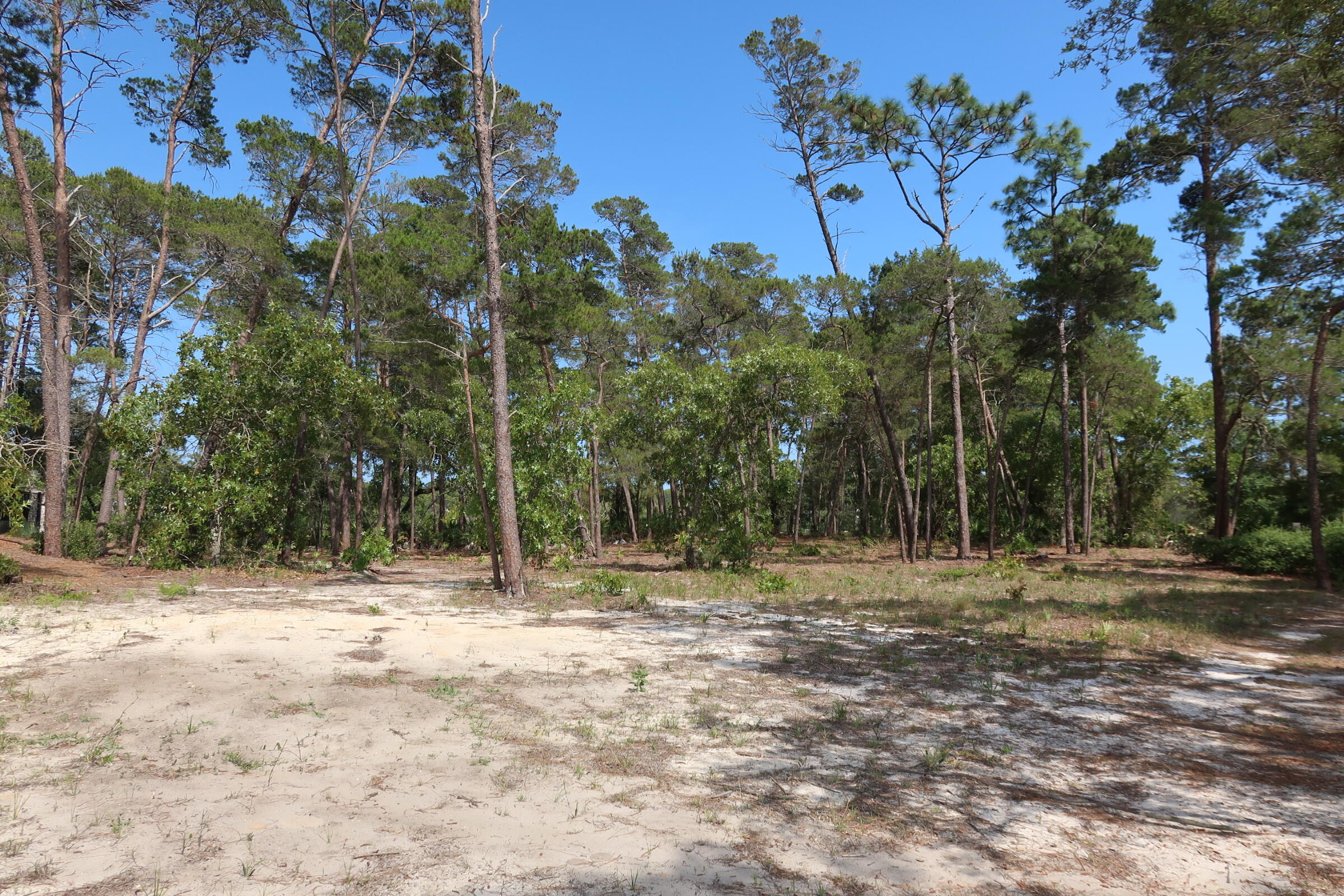 22600 Turtleback Lane Panama City Beach FL 32413