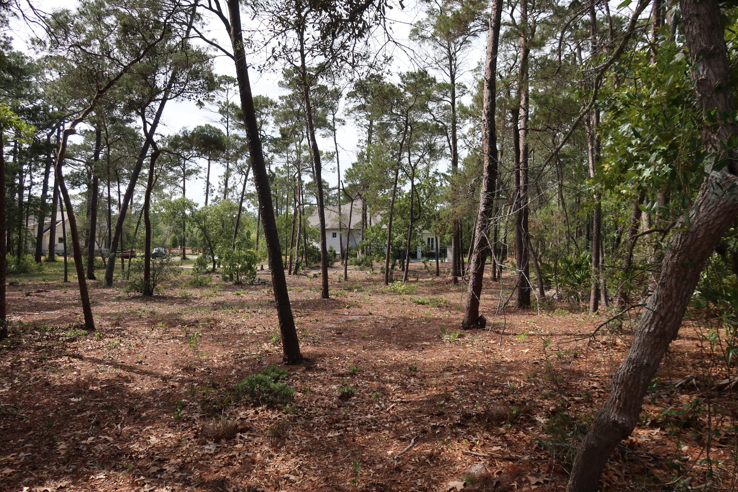 22600 Turtleback Lane Panama City Beach FL 32413