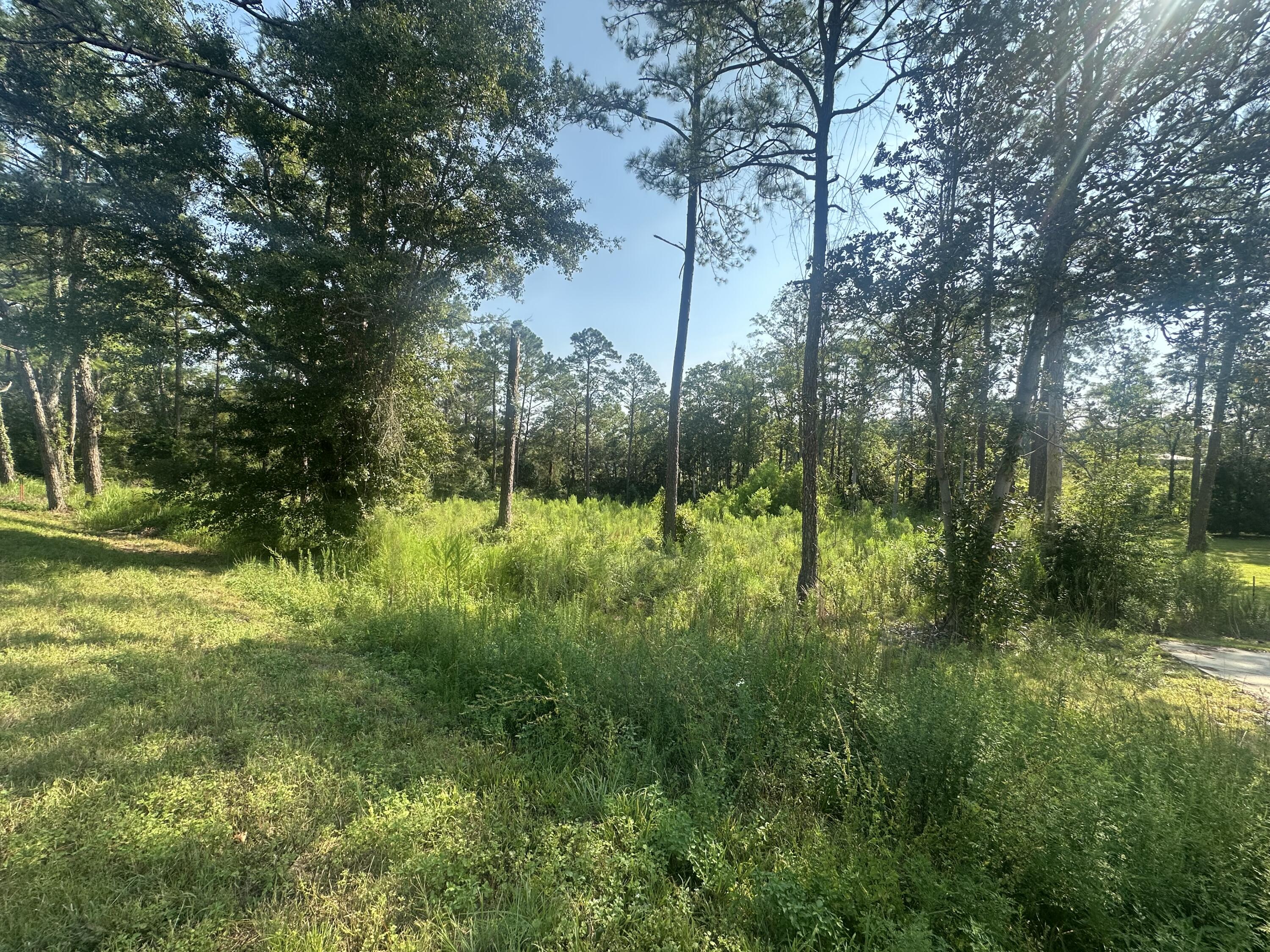 Tbd Fl-83 Defuniak Springs FL 32433