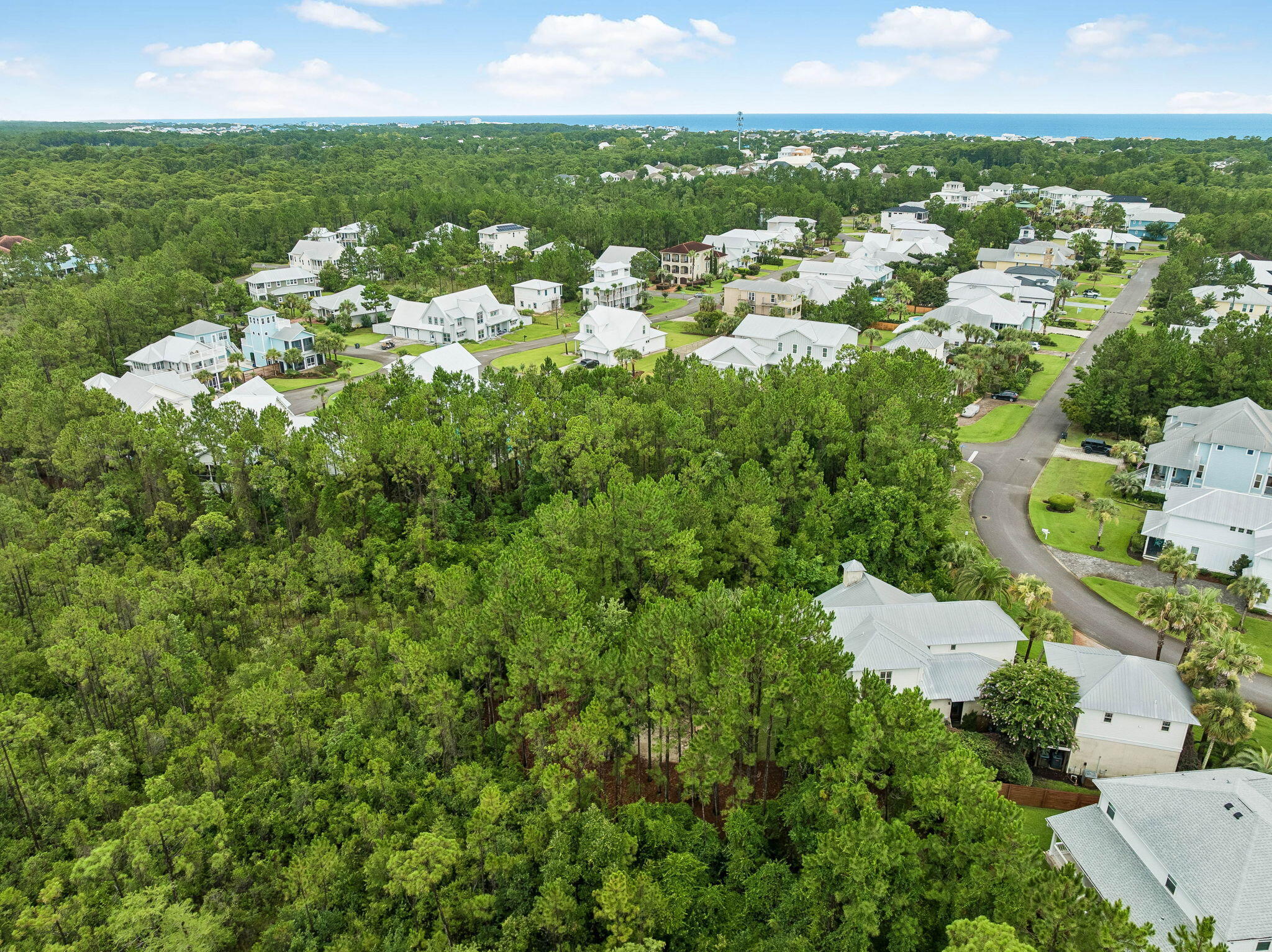 25 Plantation Circle Santa Rosa Beach FL 32459