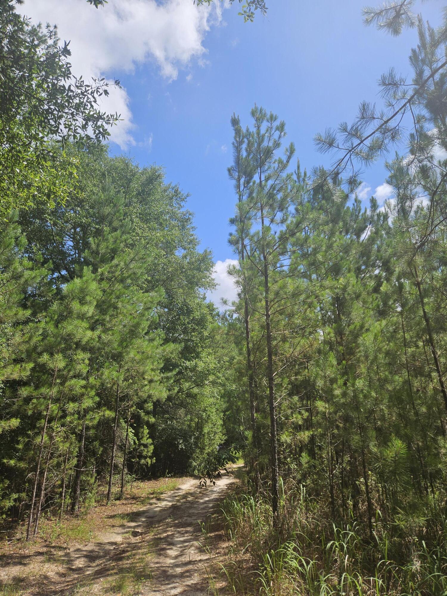 1087 Brake Road Ponce De Leon FL 32455