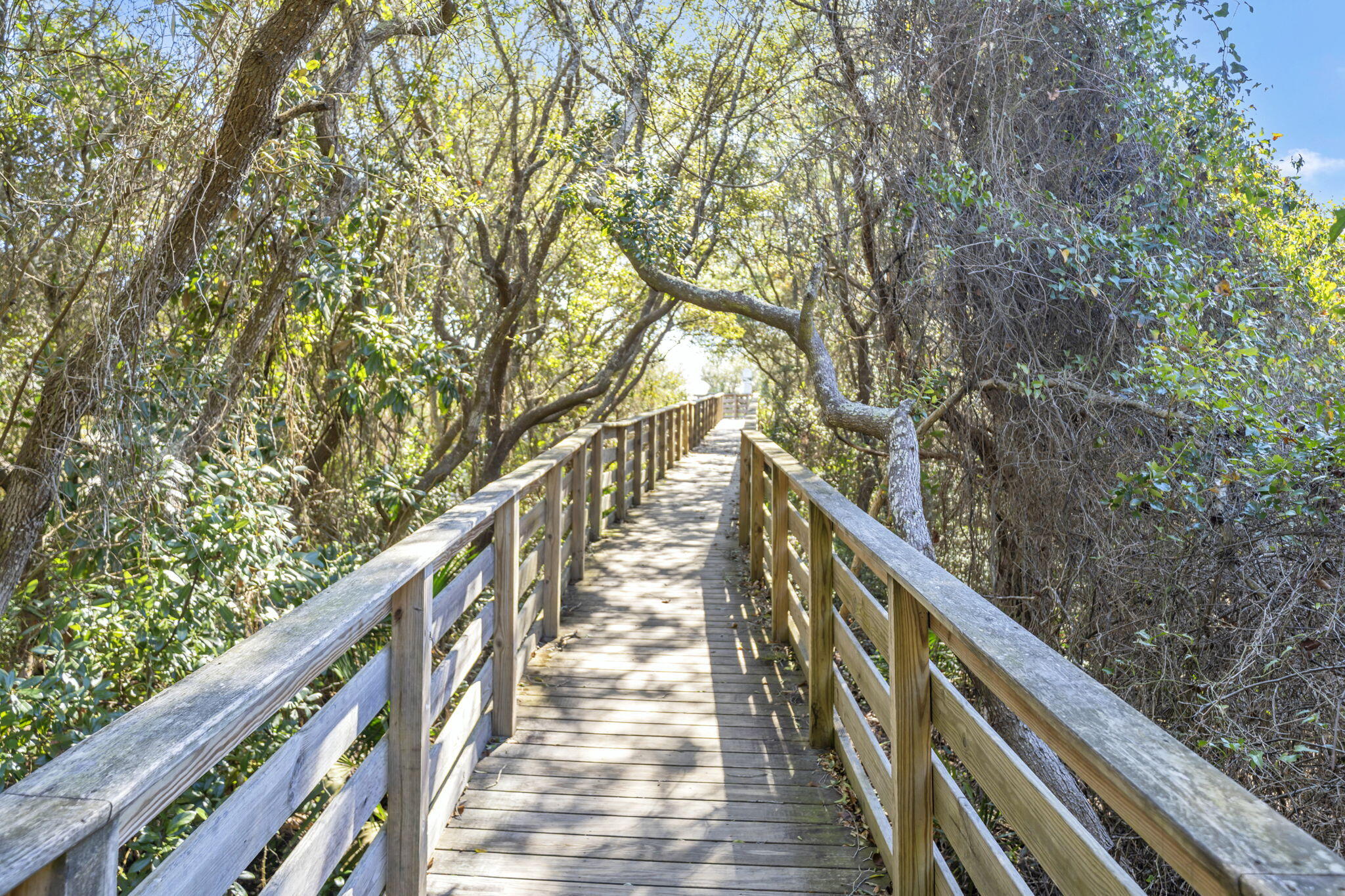 Lot 6 Morgans Trail Santa Rosa Beach FL 32459