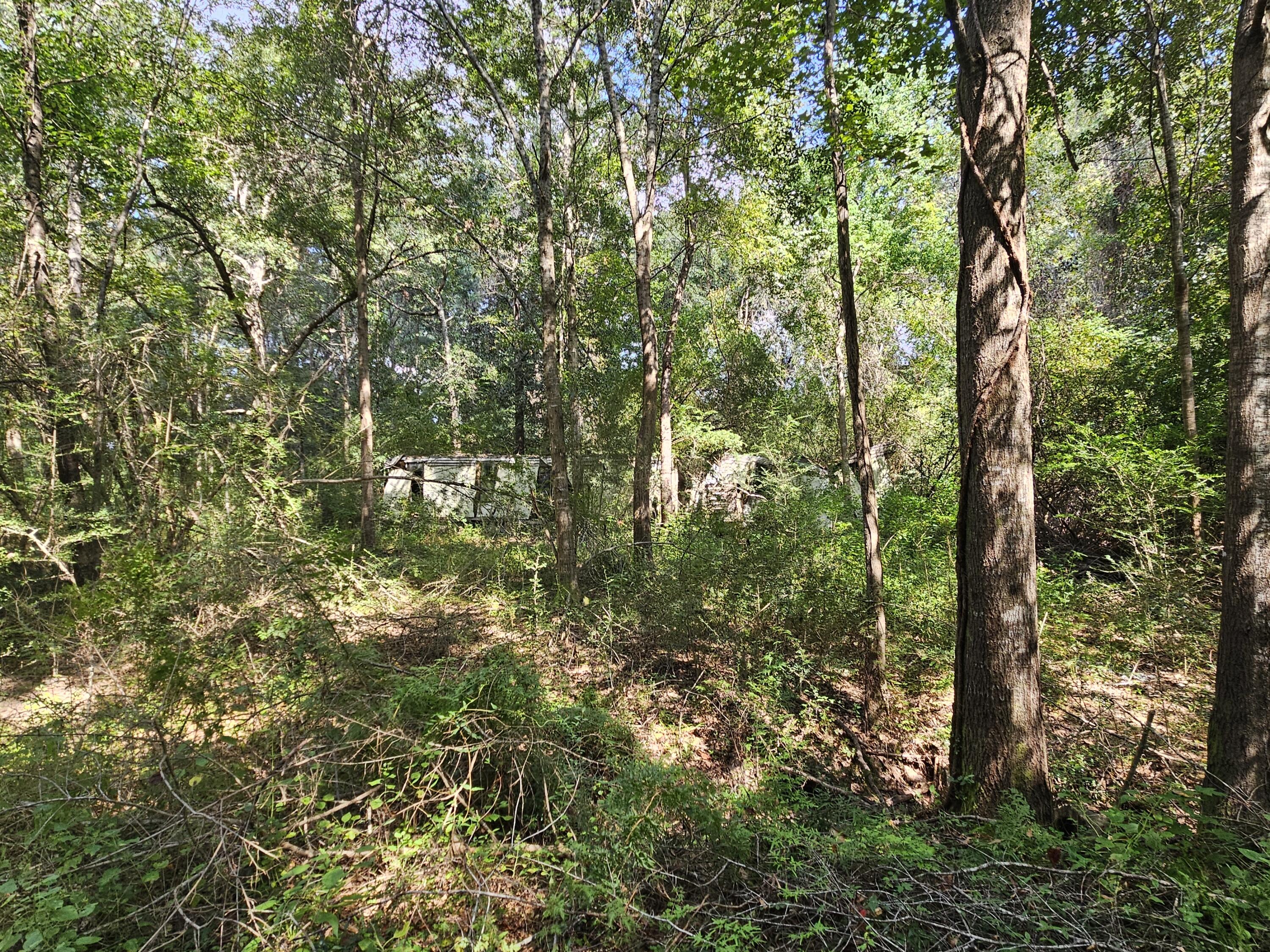 3853 Chicago Avenue Laurel Hill FL 32567