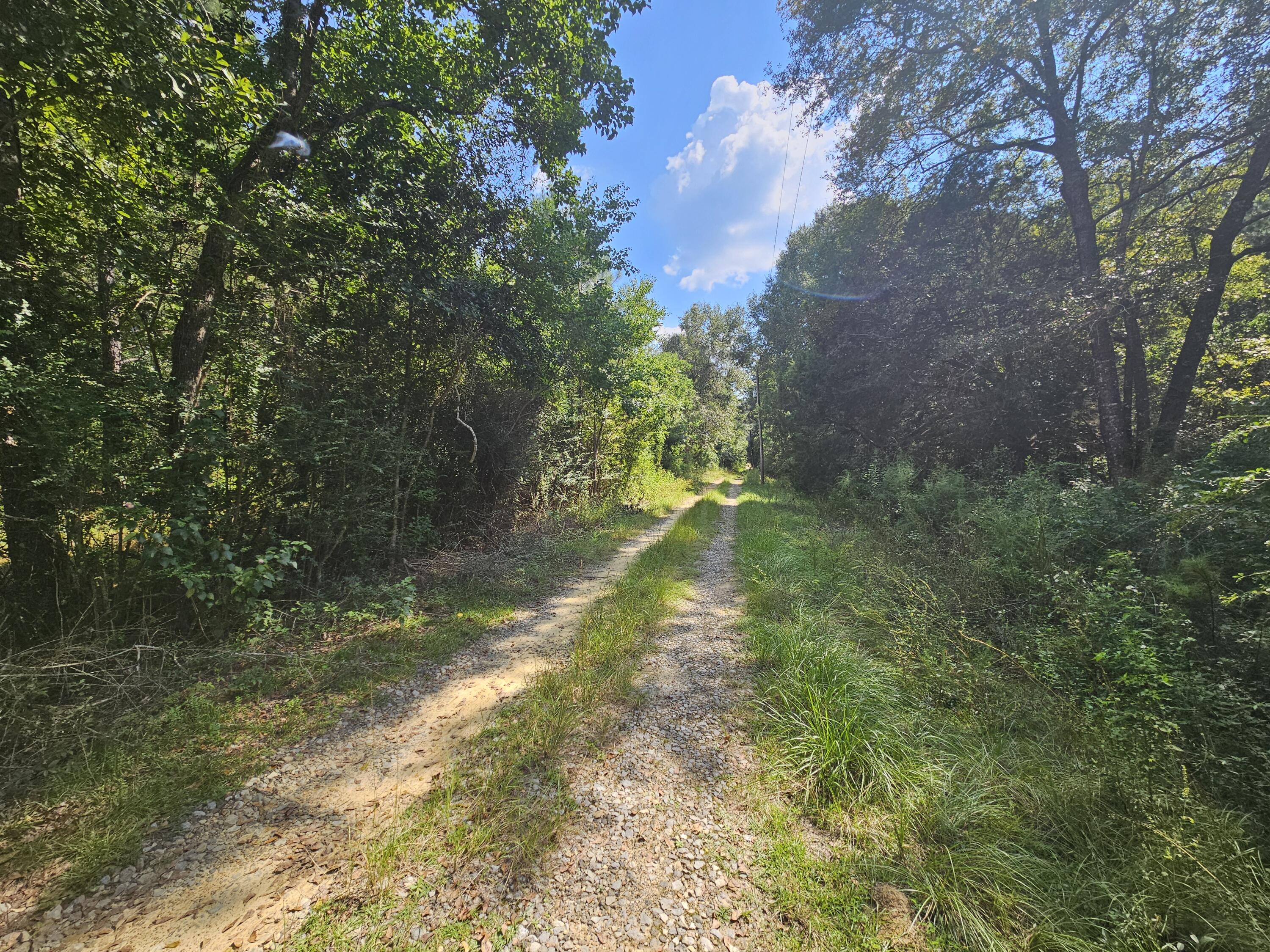 3853 Chicago Avenue Laurel Hill FL 32567