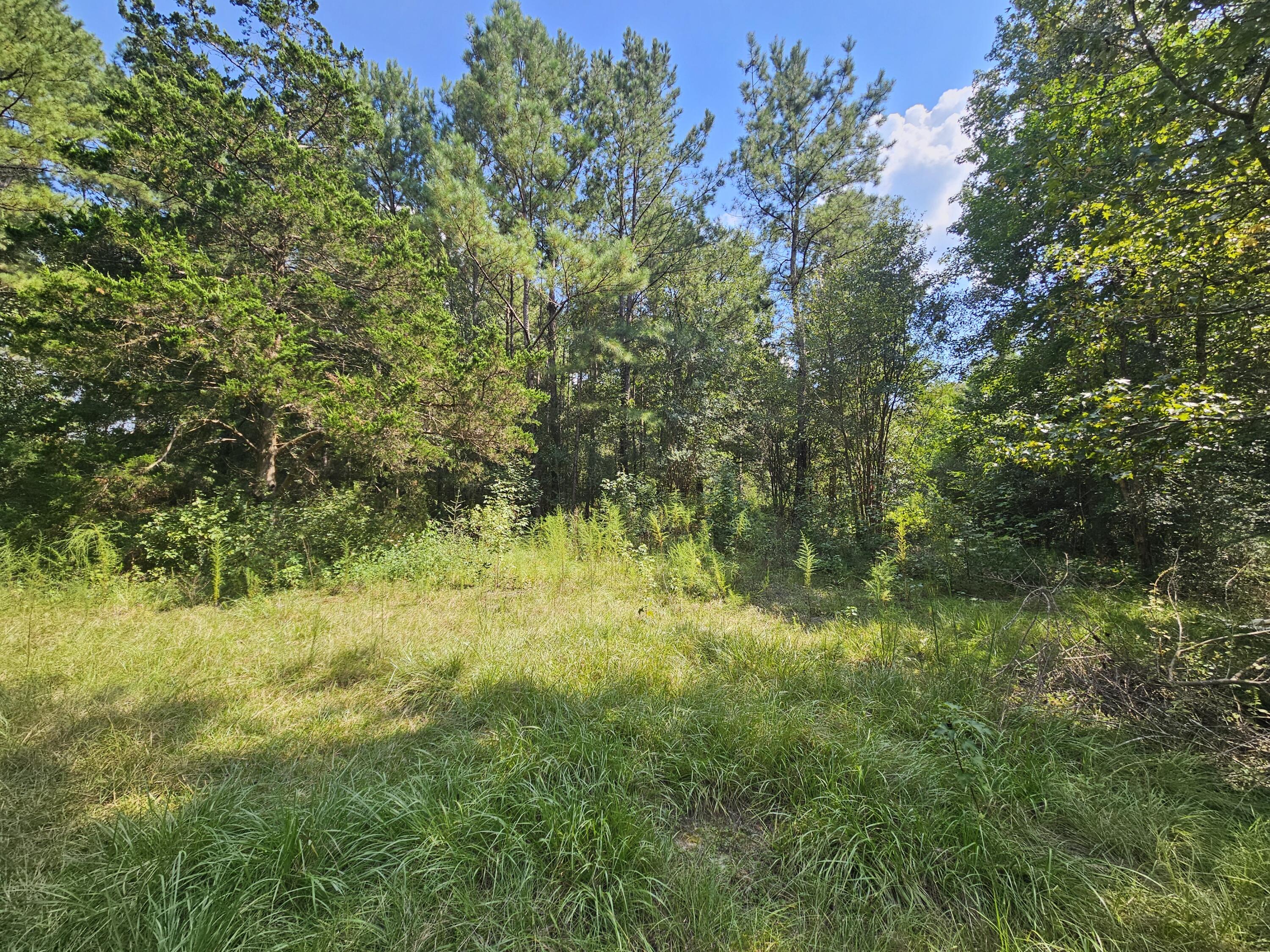 3853 Chicago Avenue Laurel Hill FL 32567