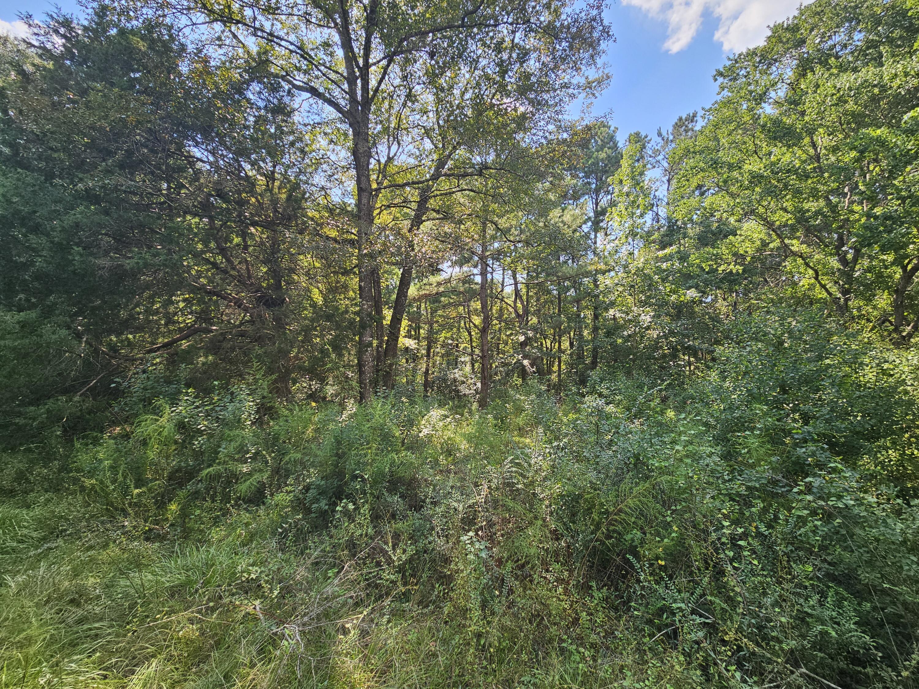 3853 Chicago Avenue Laurel Hill FL 32567