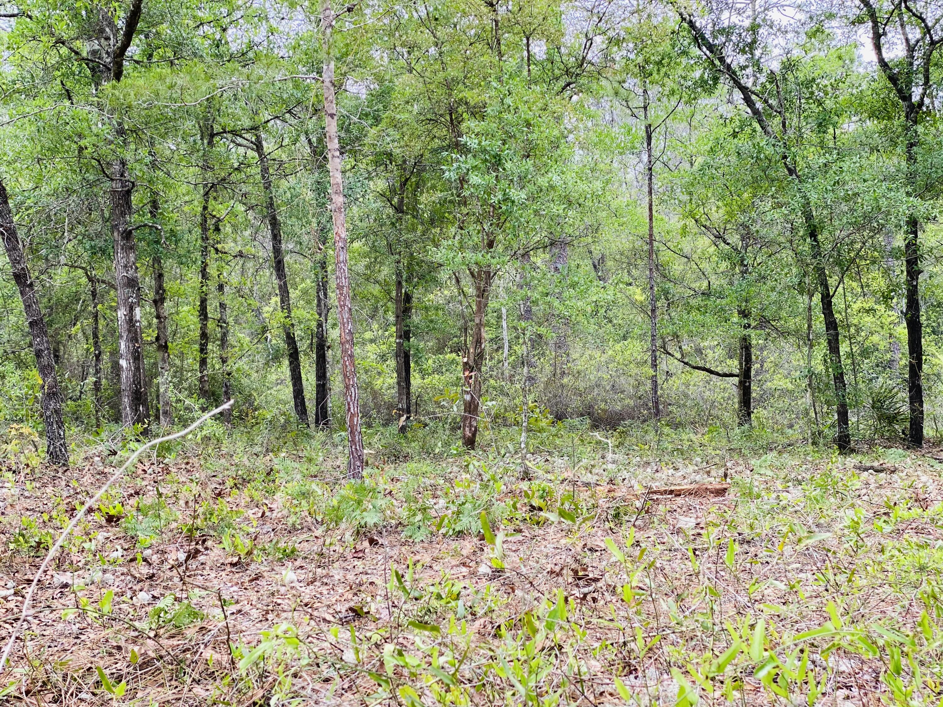 DeFuniak Springs FL, E Black Cherry Drive