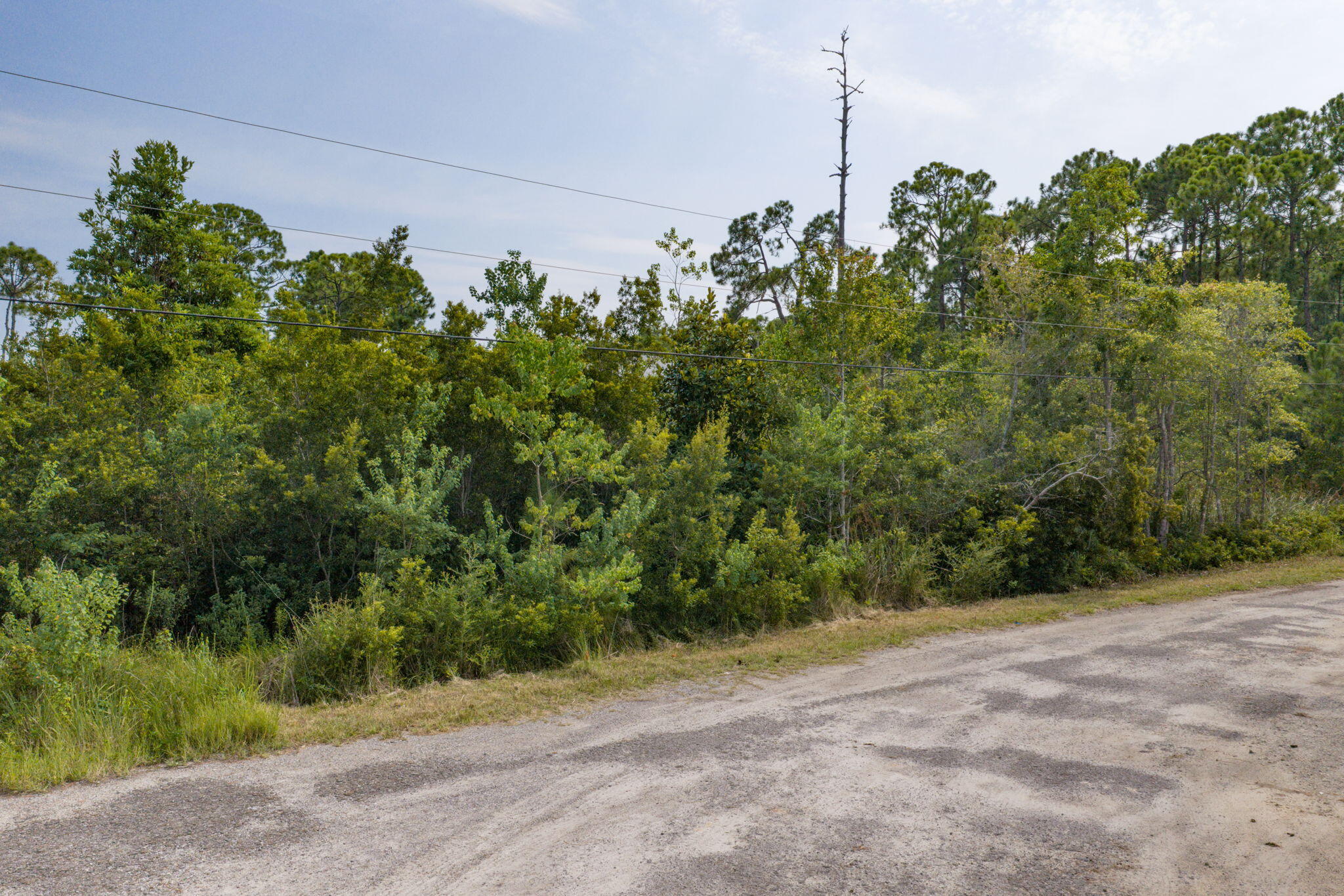 Lot 38 W Casa Grande Lane Santa Rosa Beach FL 32459