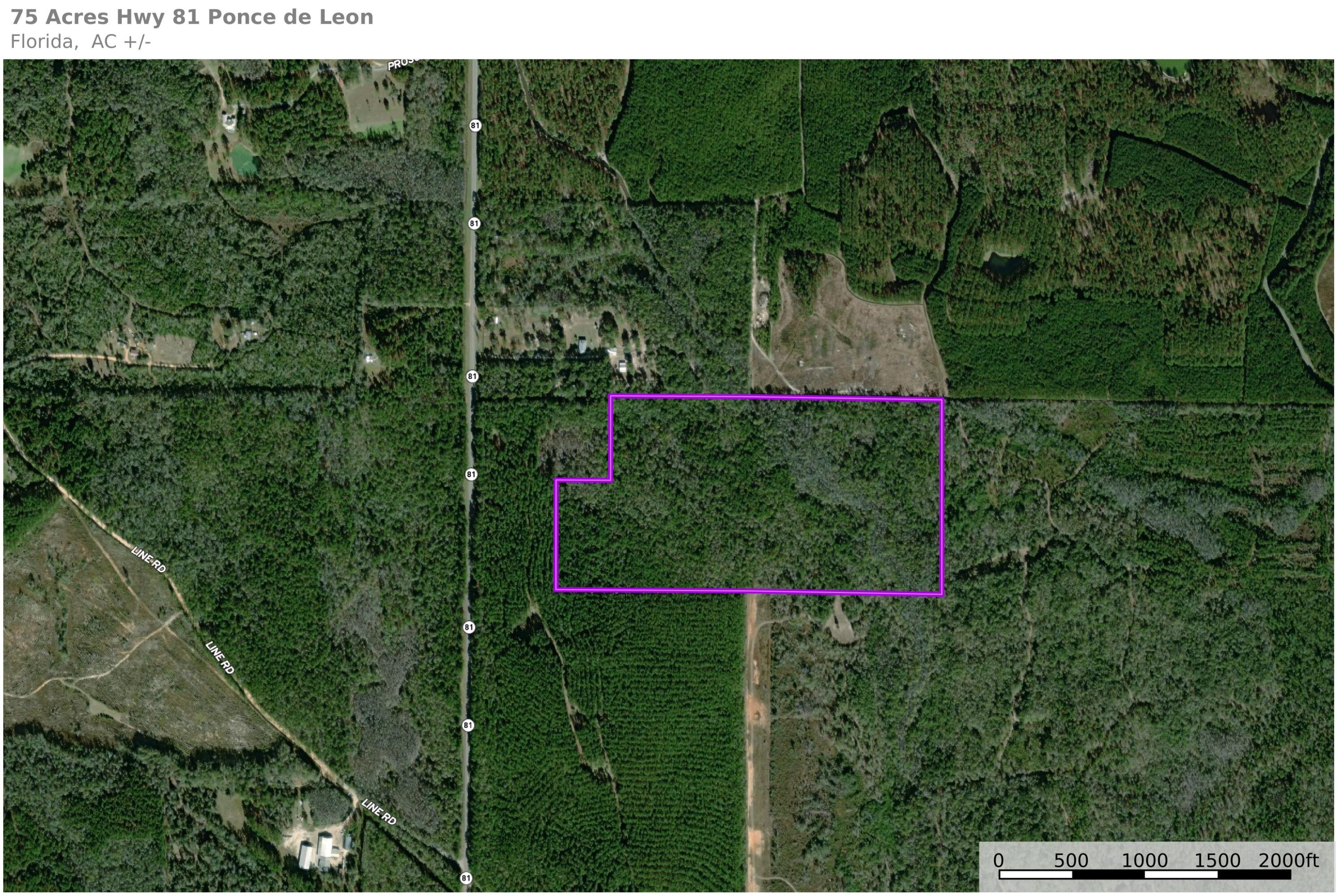 75 Acres N Florida 81 Ponce De Leon FL 32455