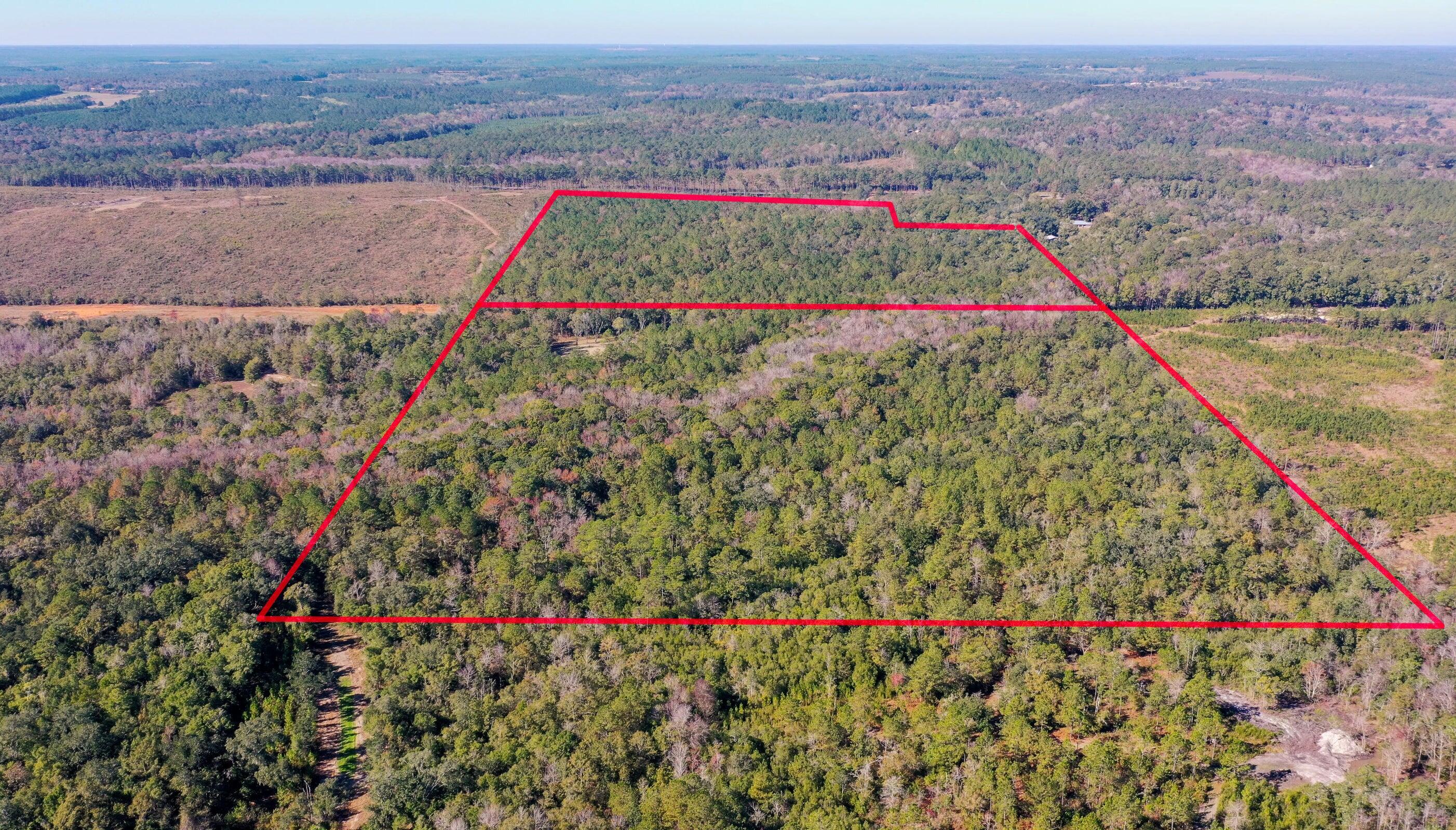 75 Acres N Florida 81 Ponce De Leon FL 32455